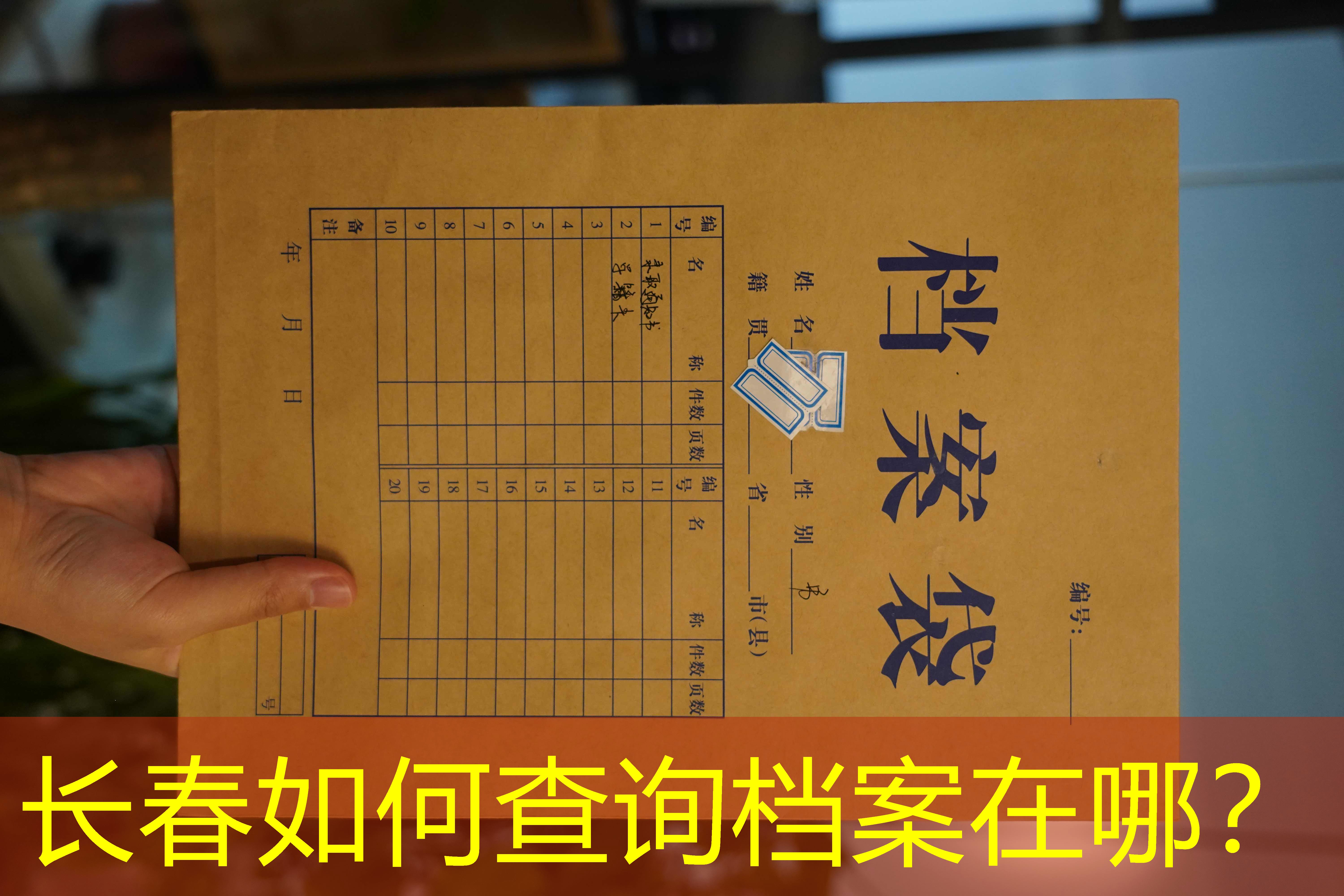 档案查询