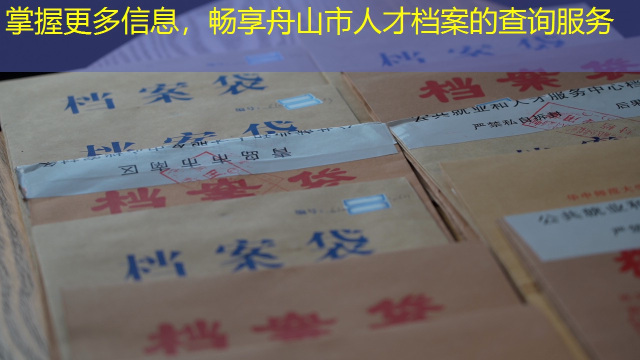 档案查询