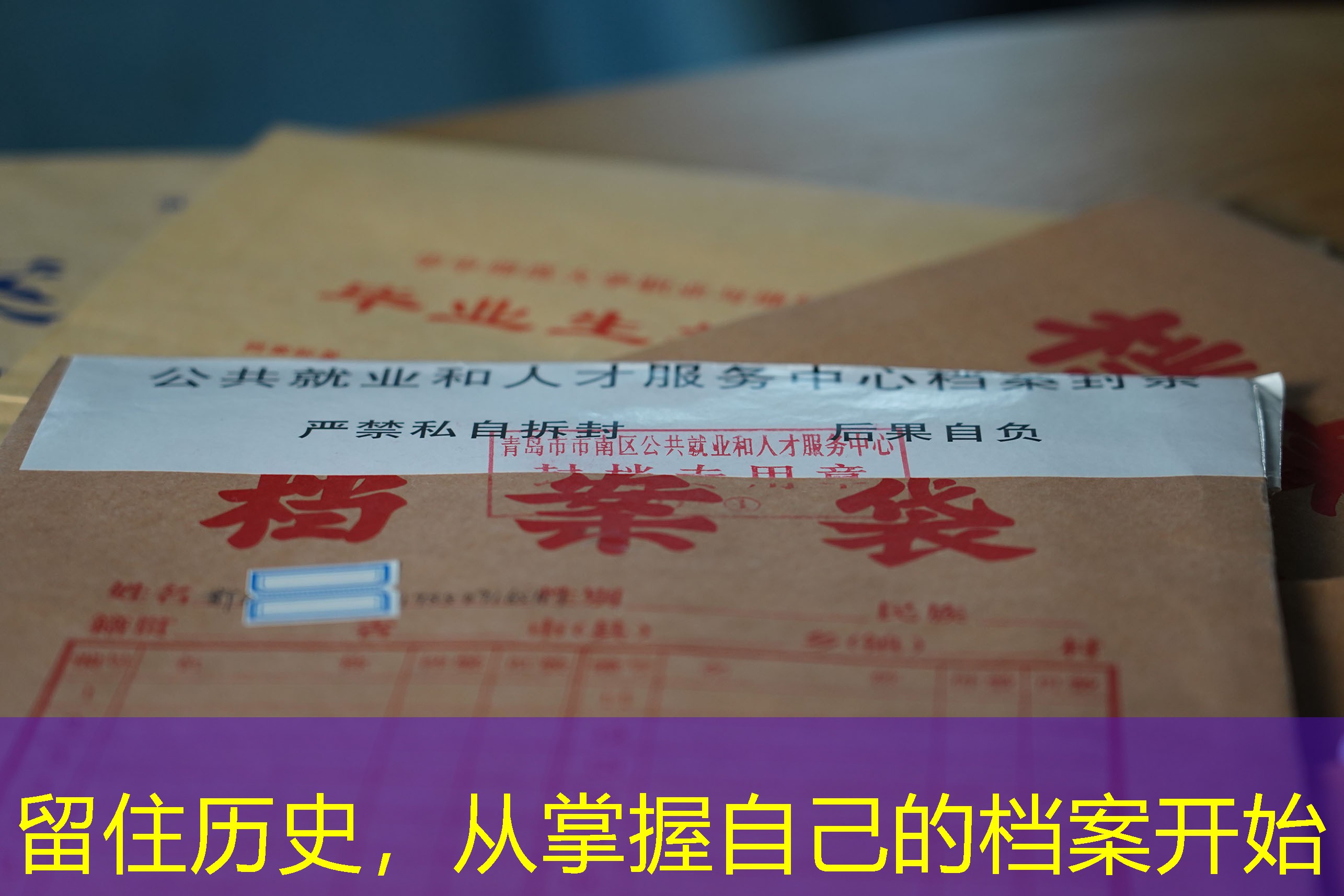档案查询