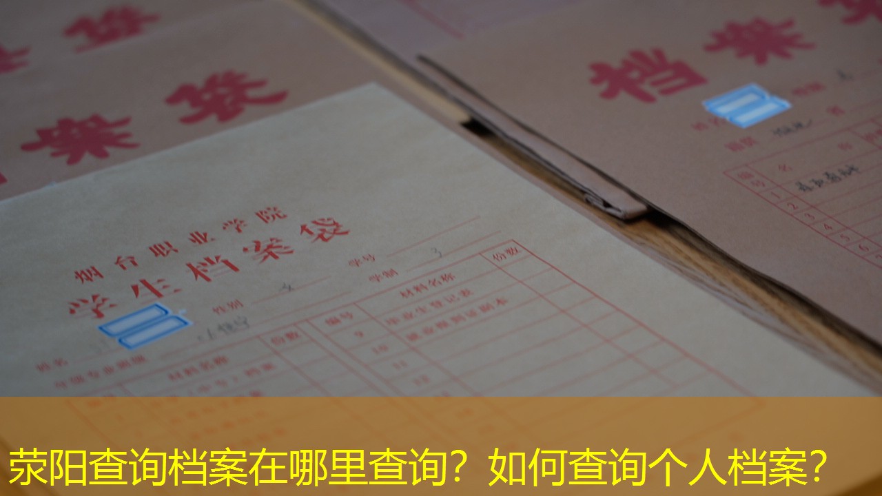 档案查询