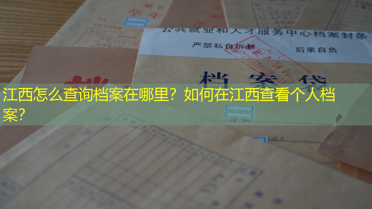 档案查询