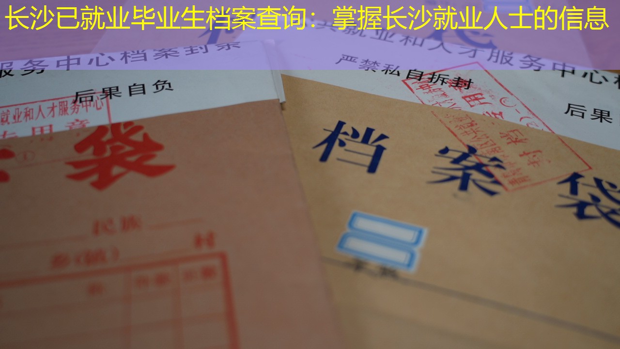 档案查询
