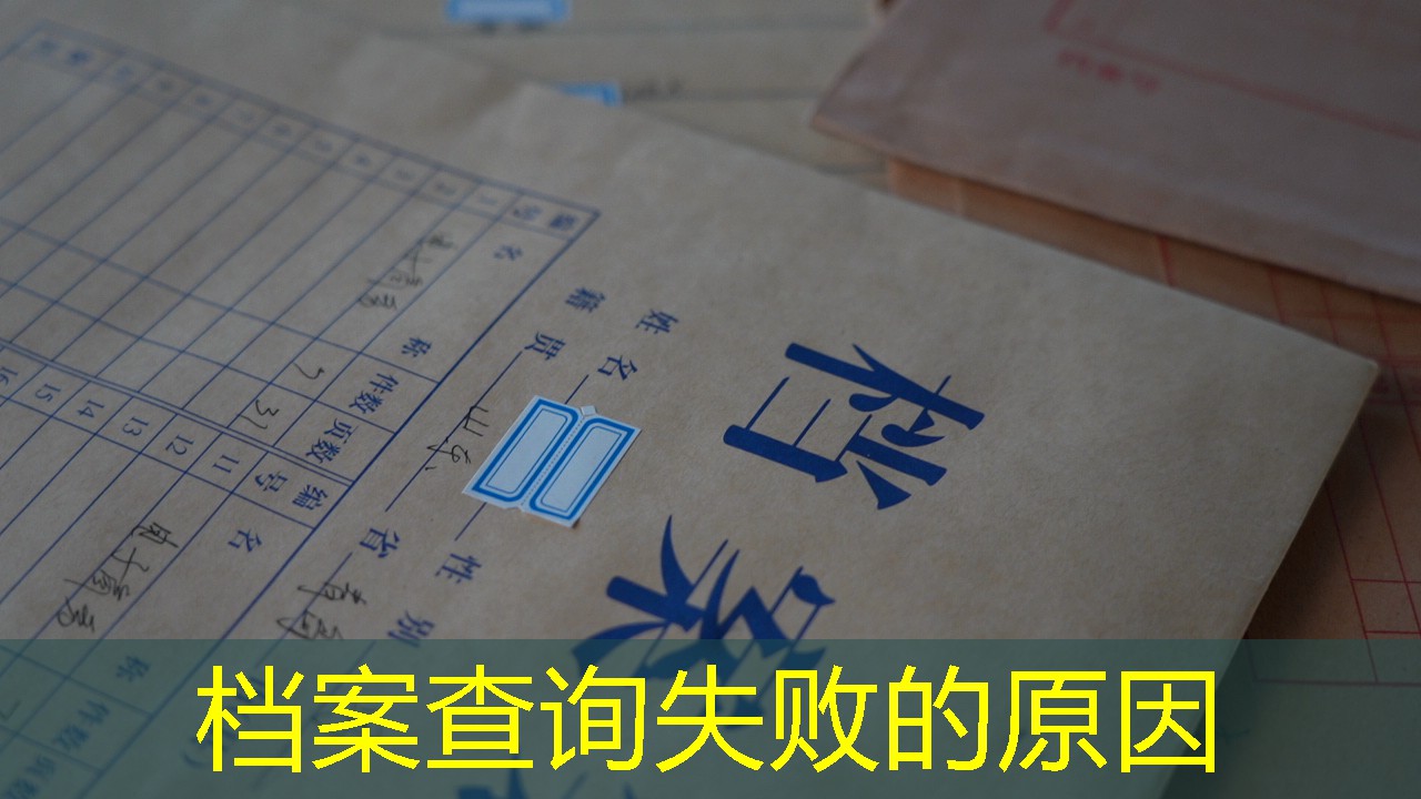 档案查询