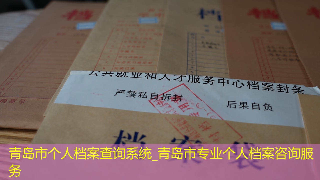 档案查询