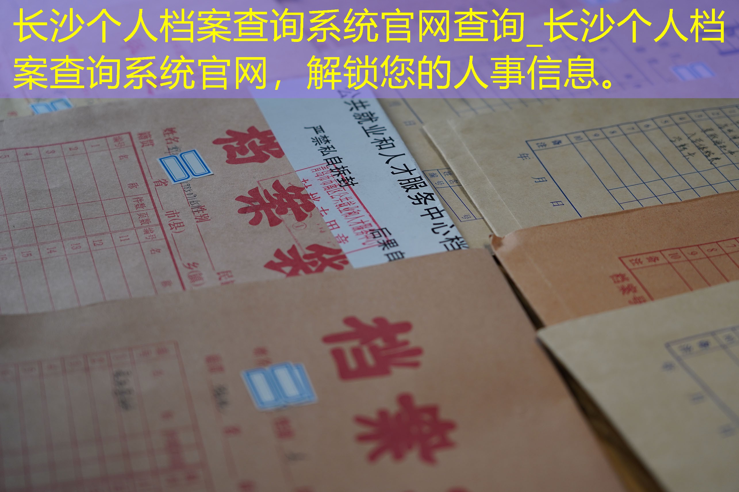 档案查询