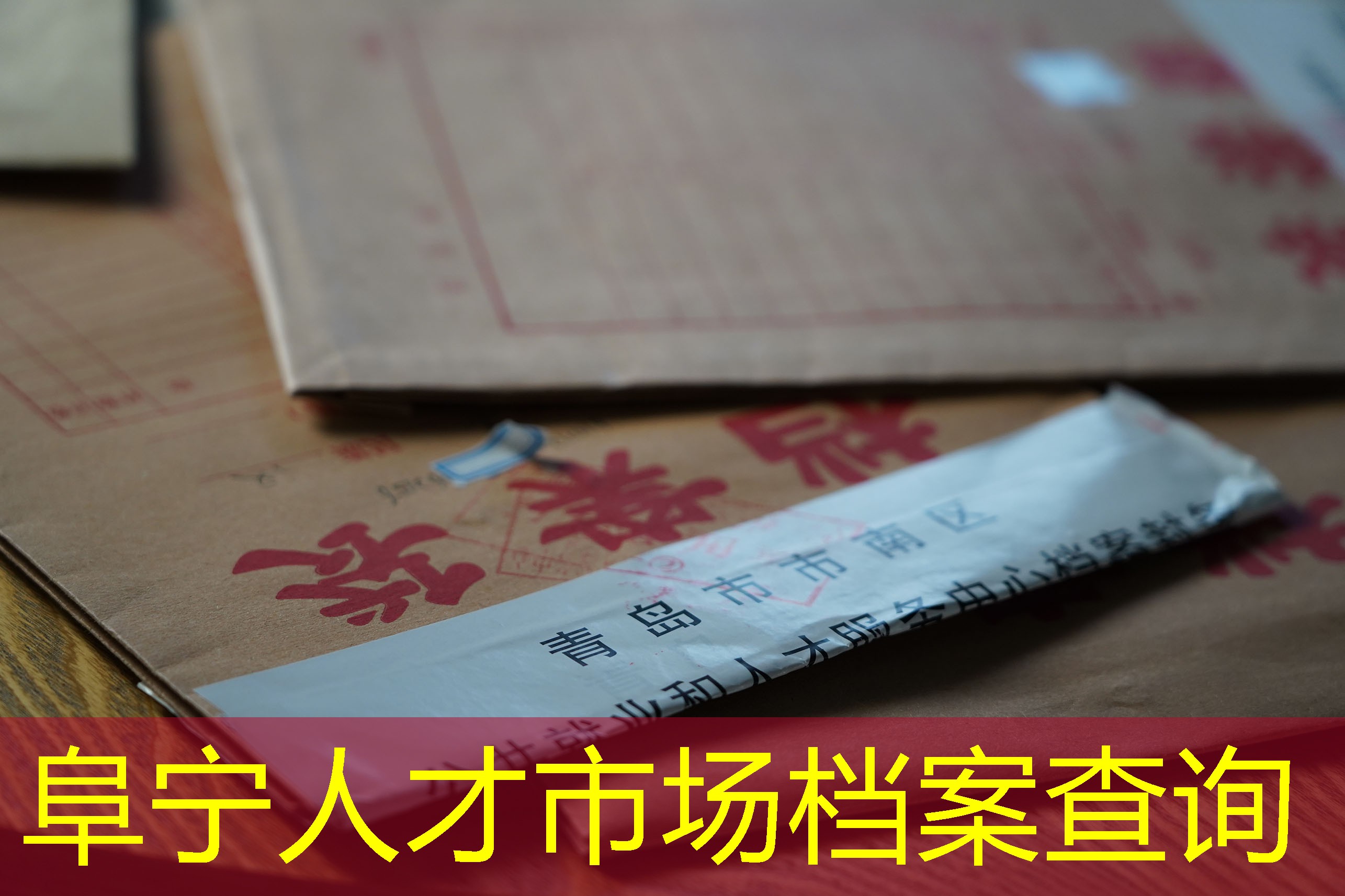 档案查询