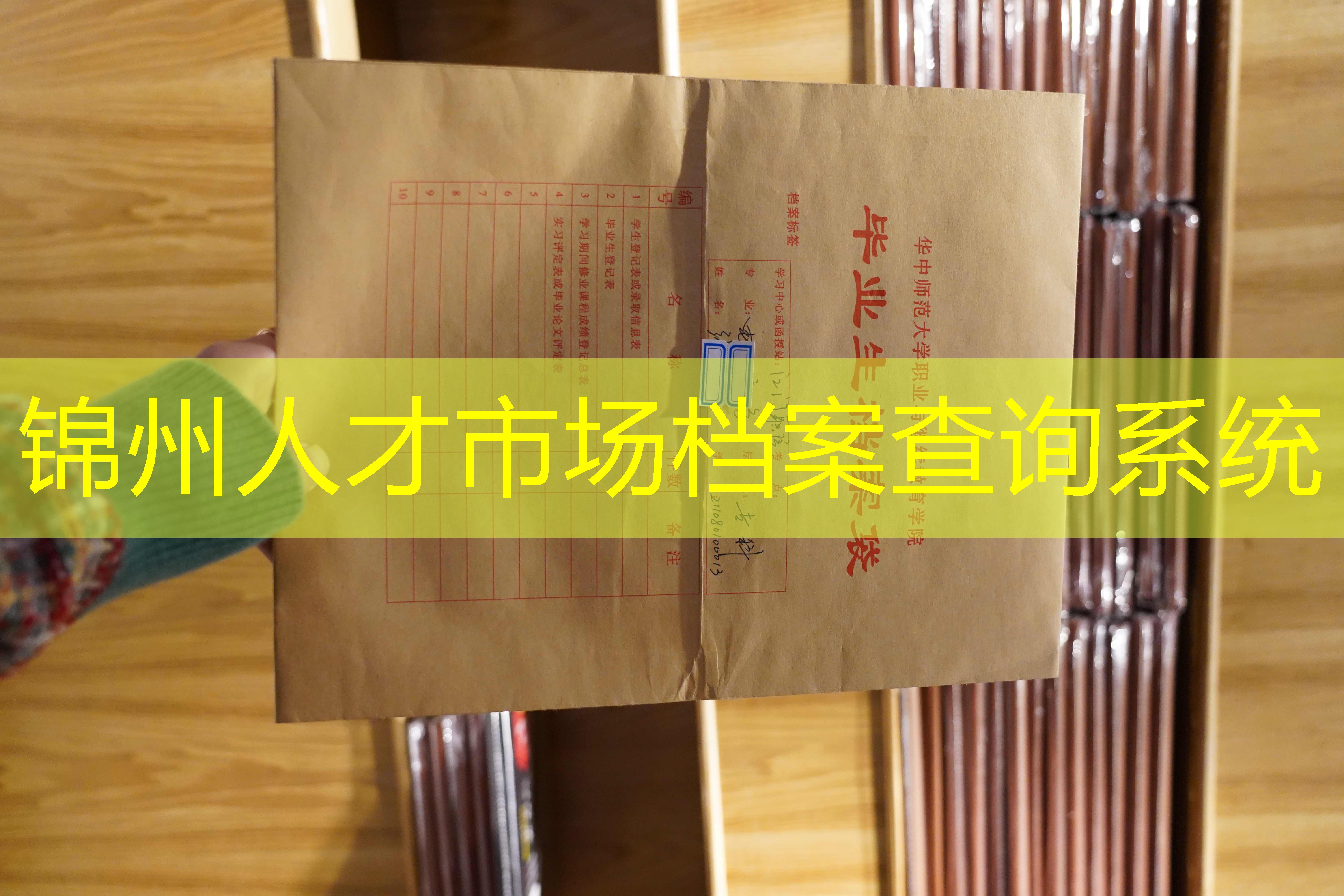 档案查询