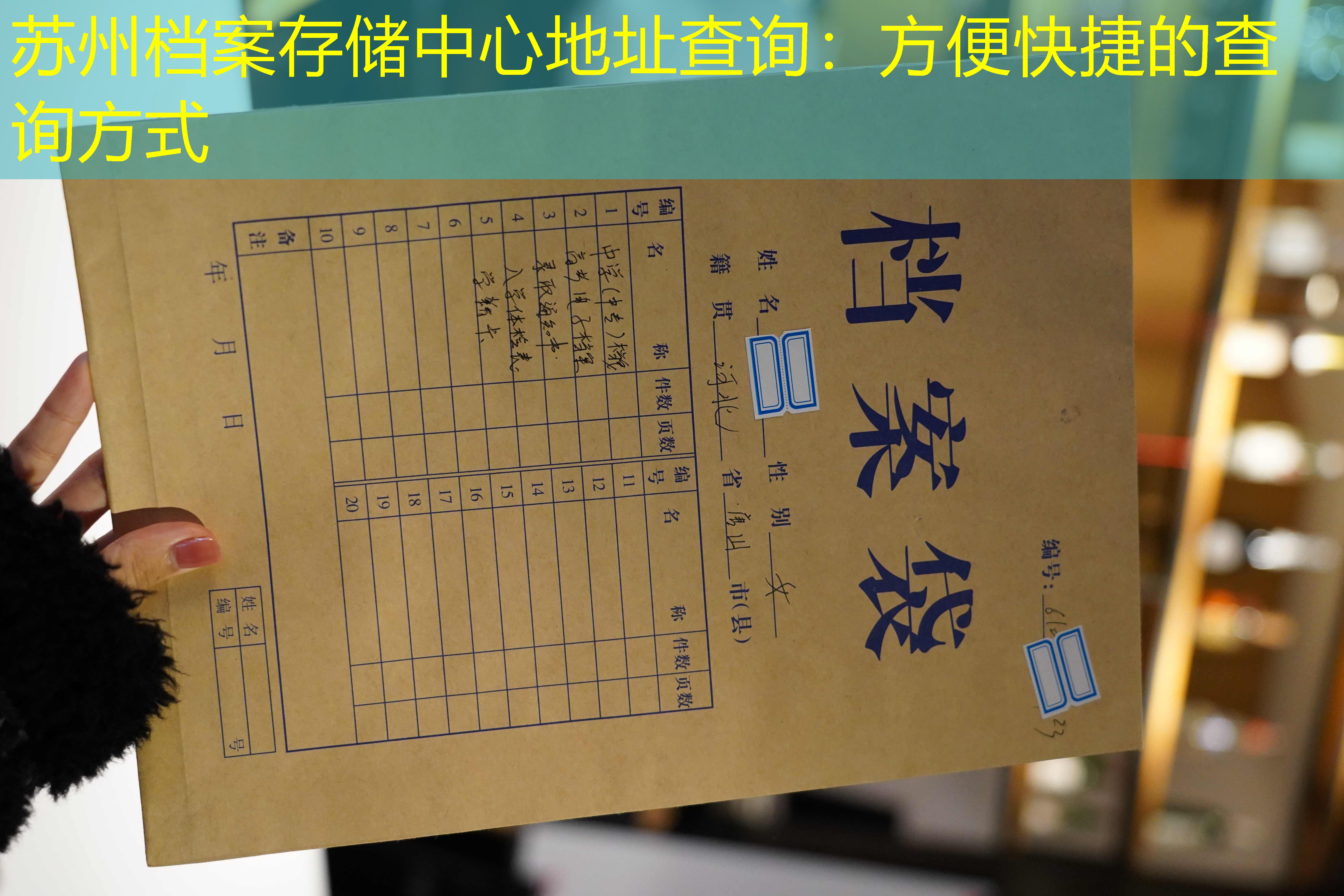 档案查询