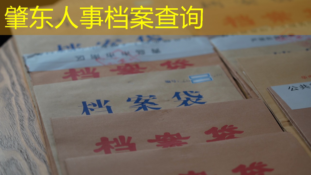 档案查询