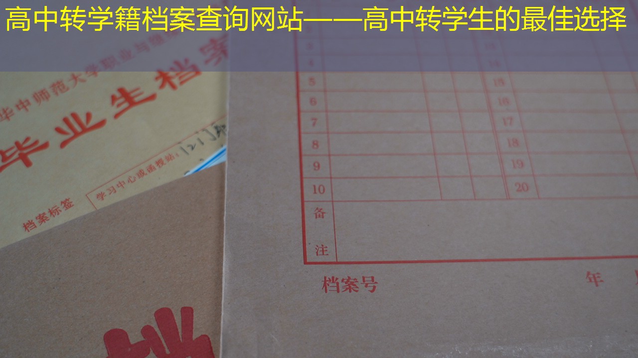档案查询