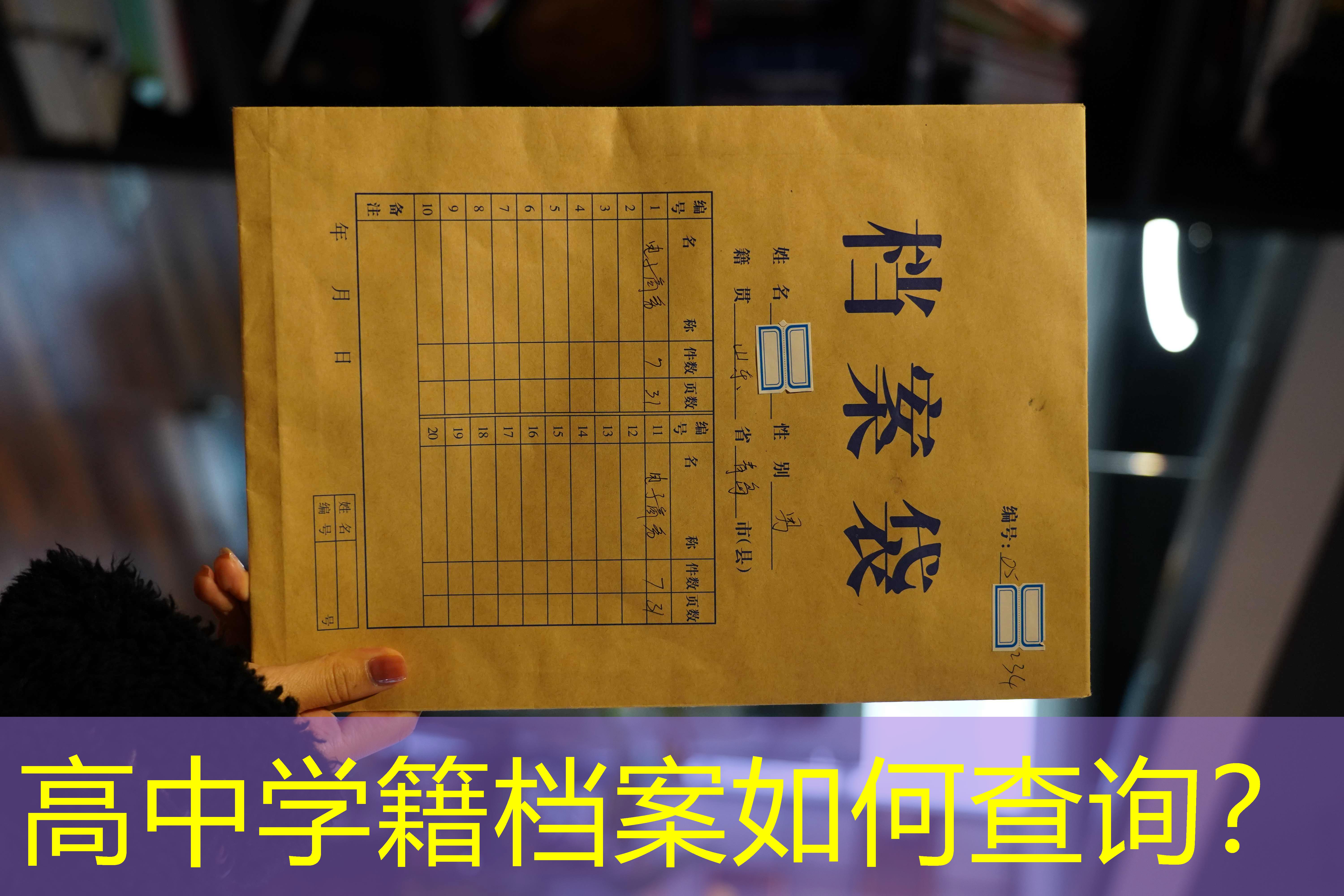 档案查询