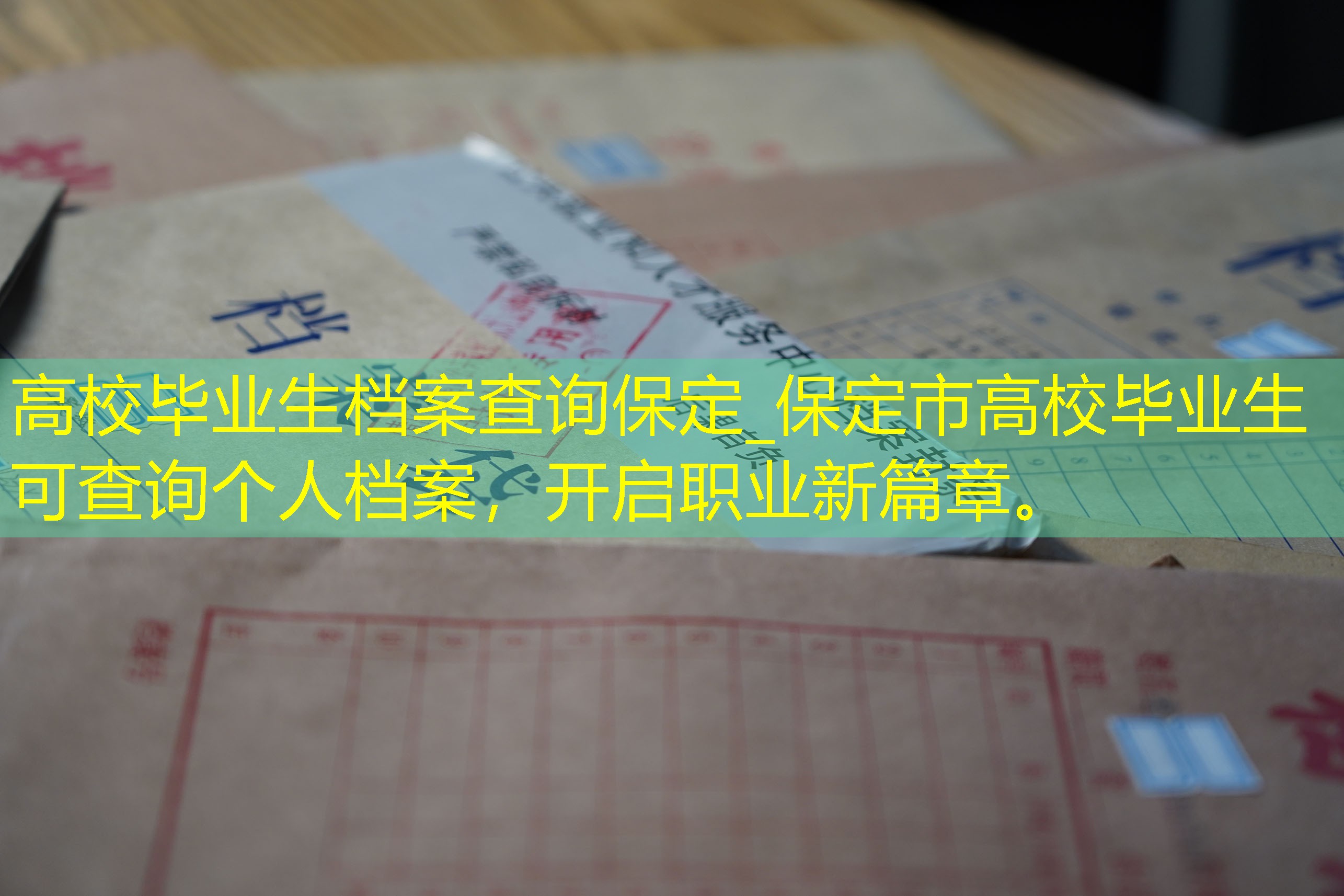 档案查询