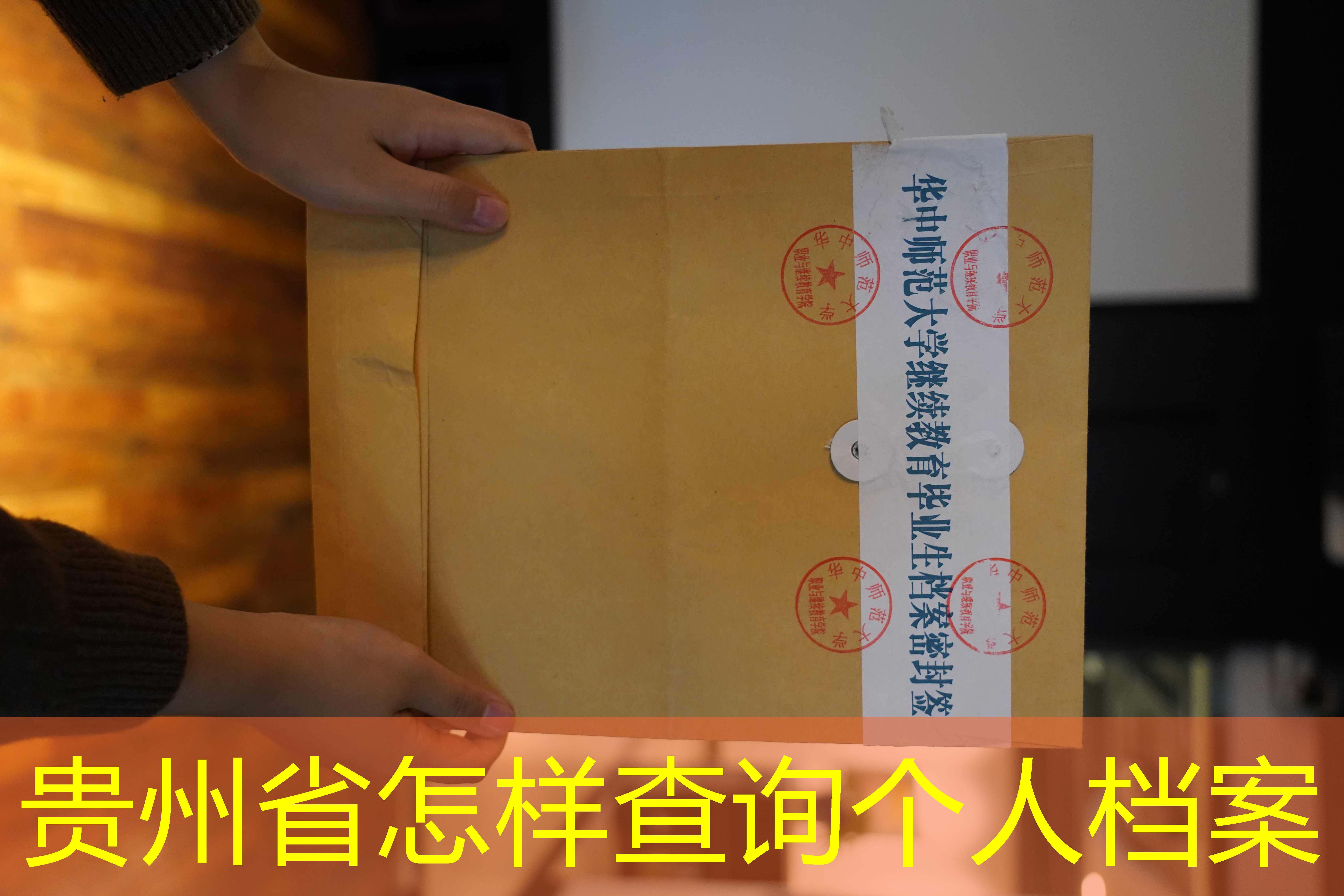 档案查询