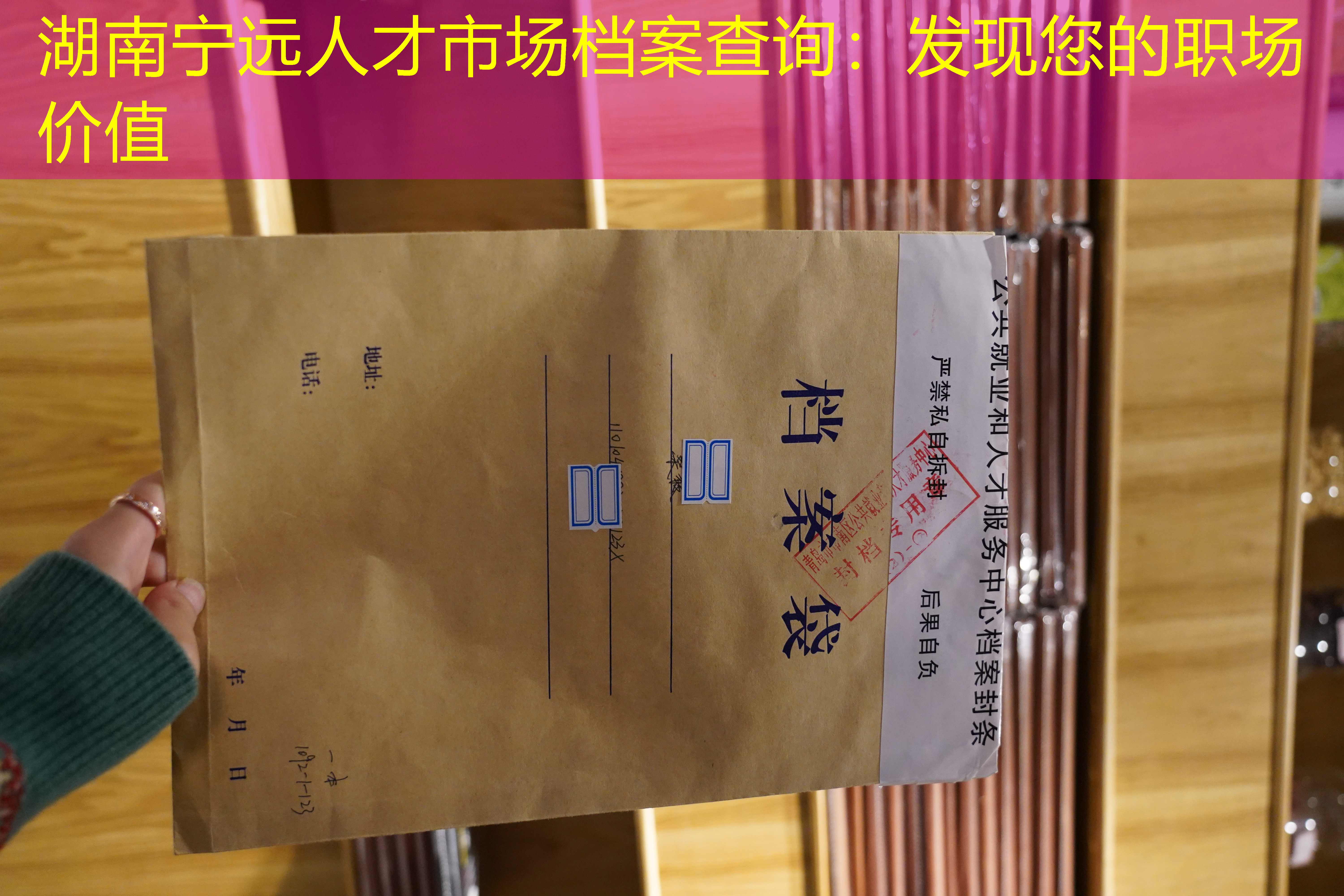 档案查询