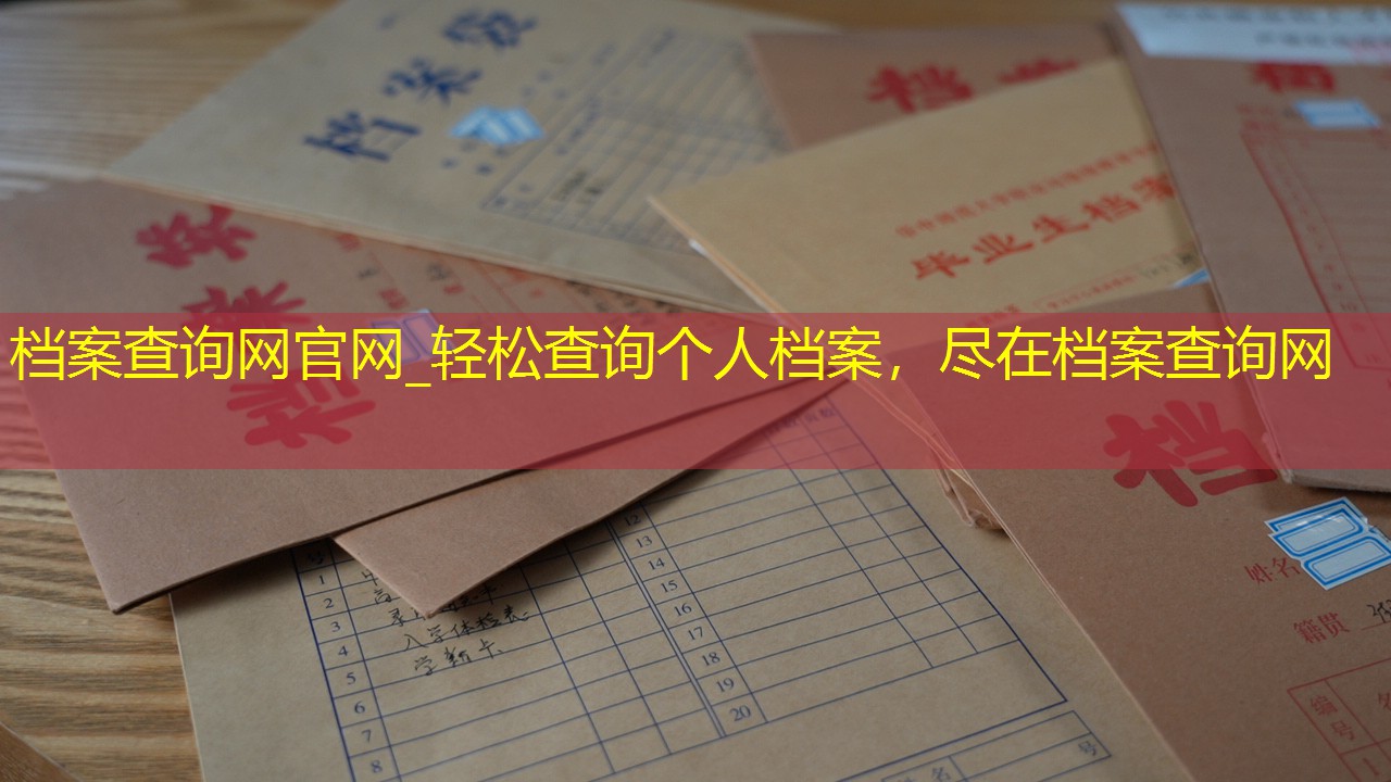档案查询