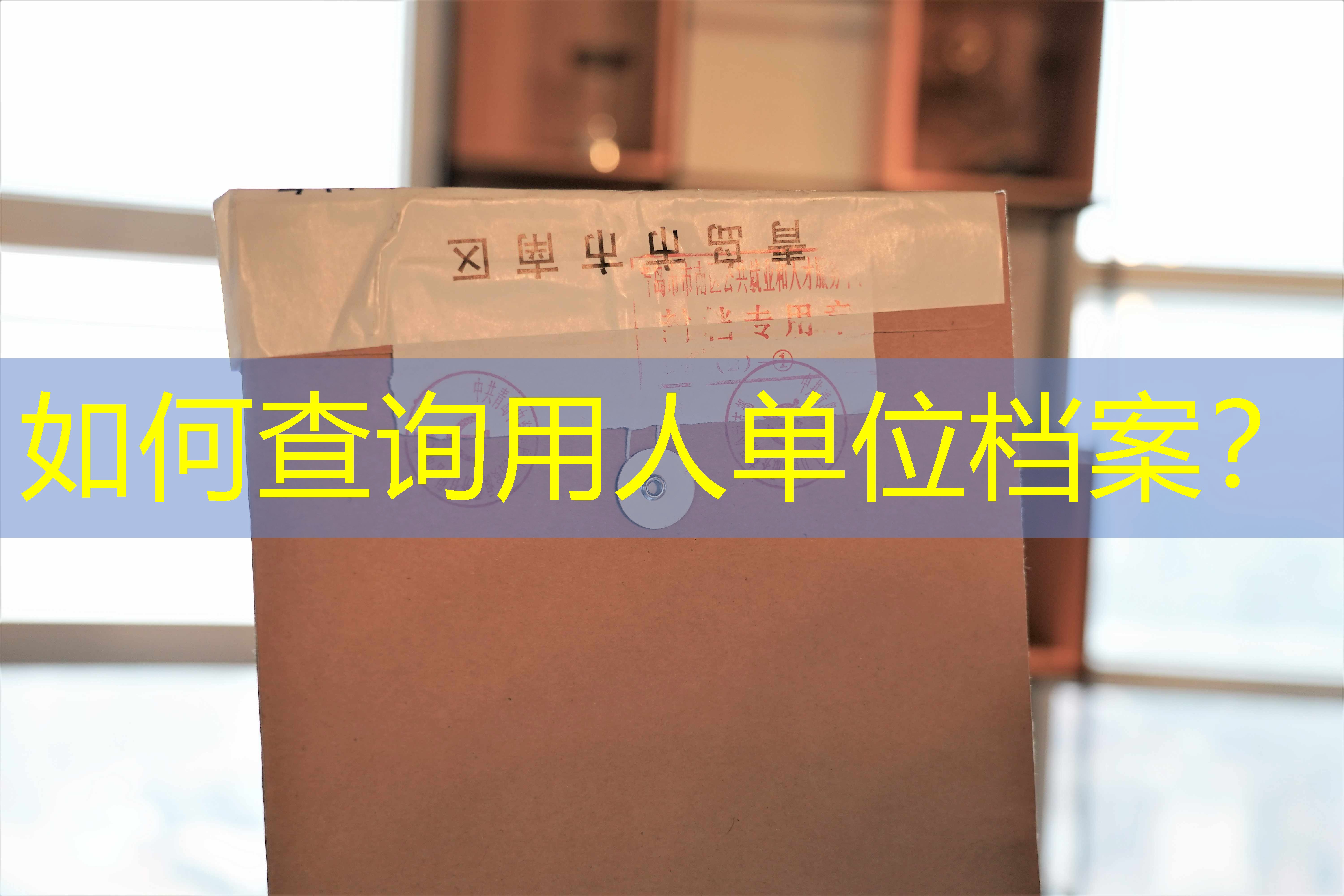 档案查询