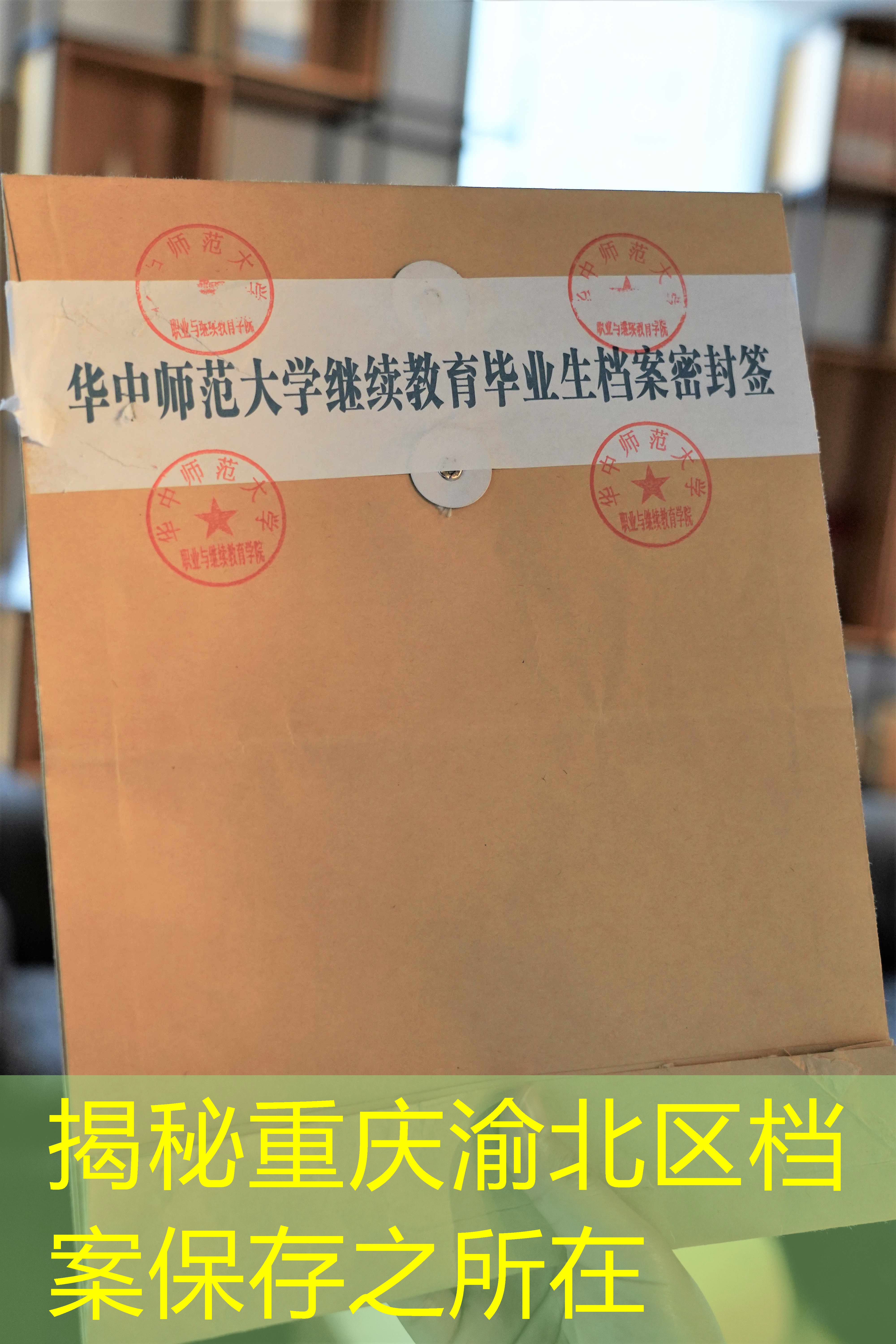 档案查询