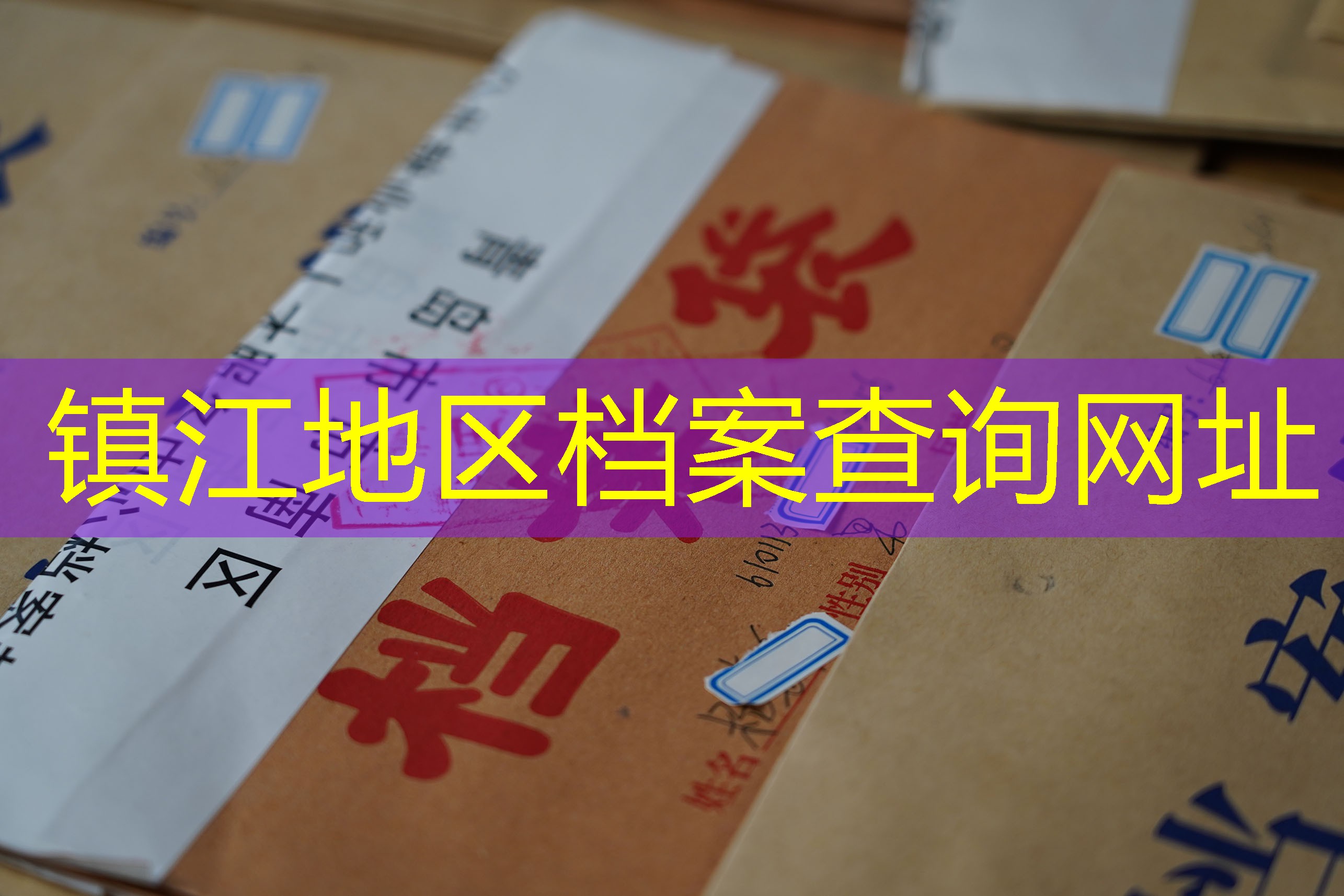 档案查询