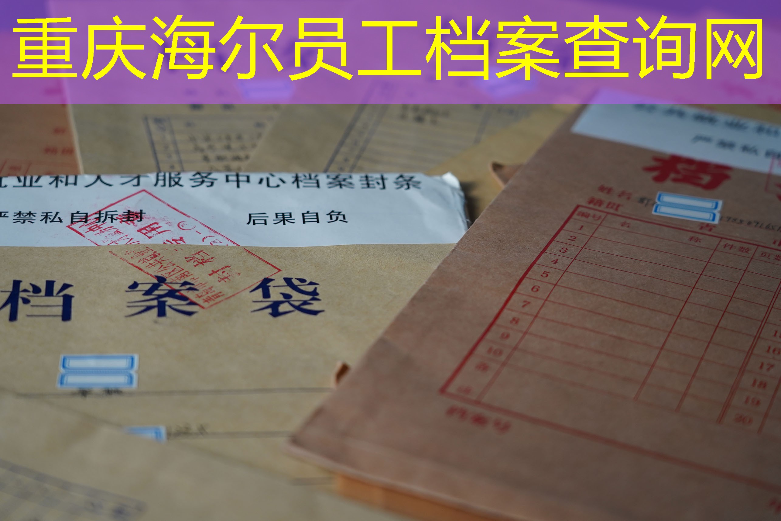 档案查询