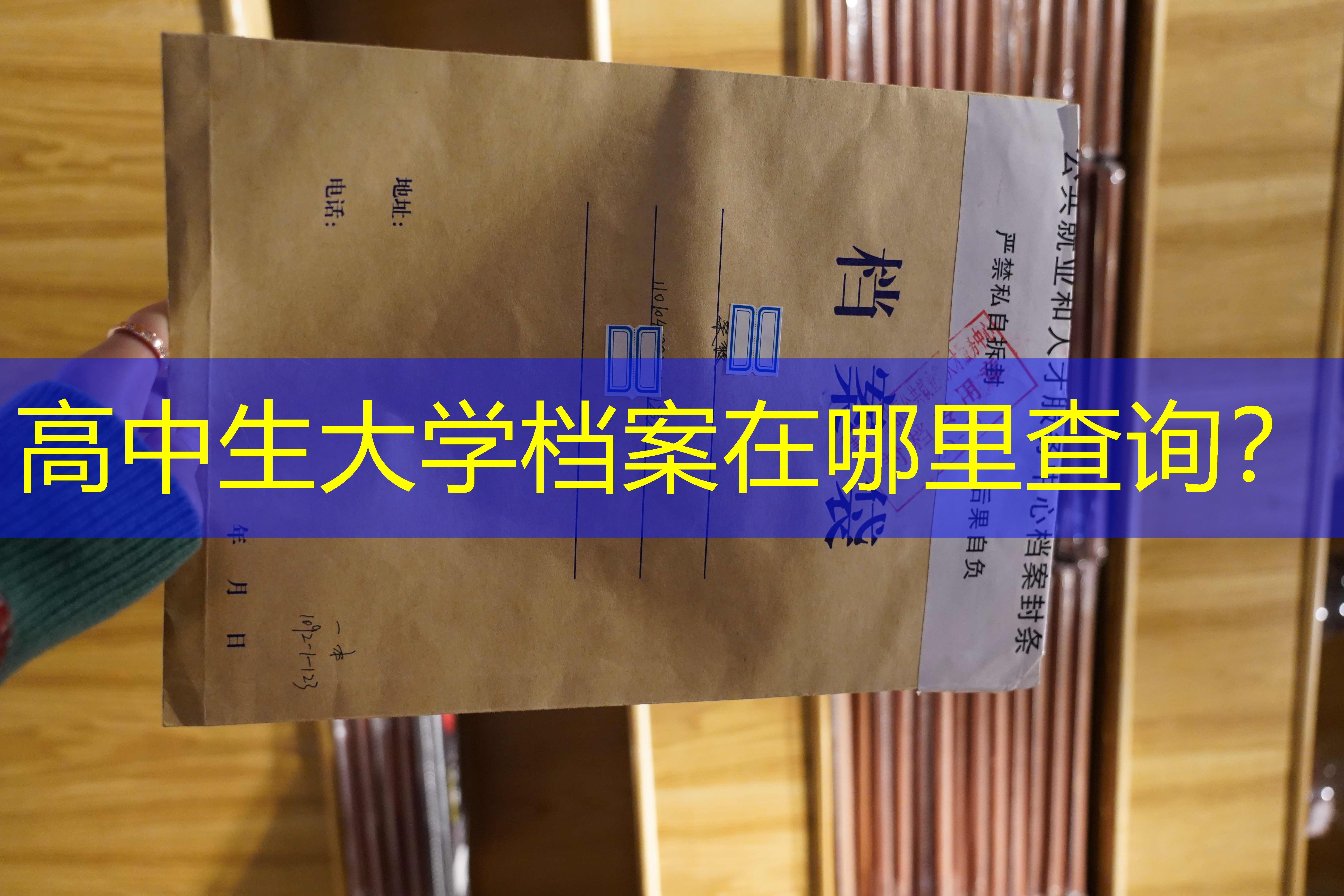 档案查询