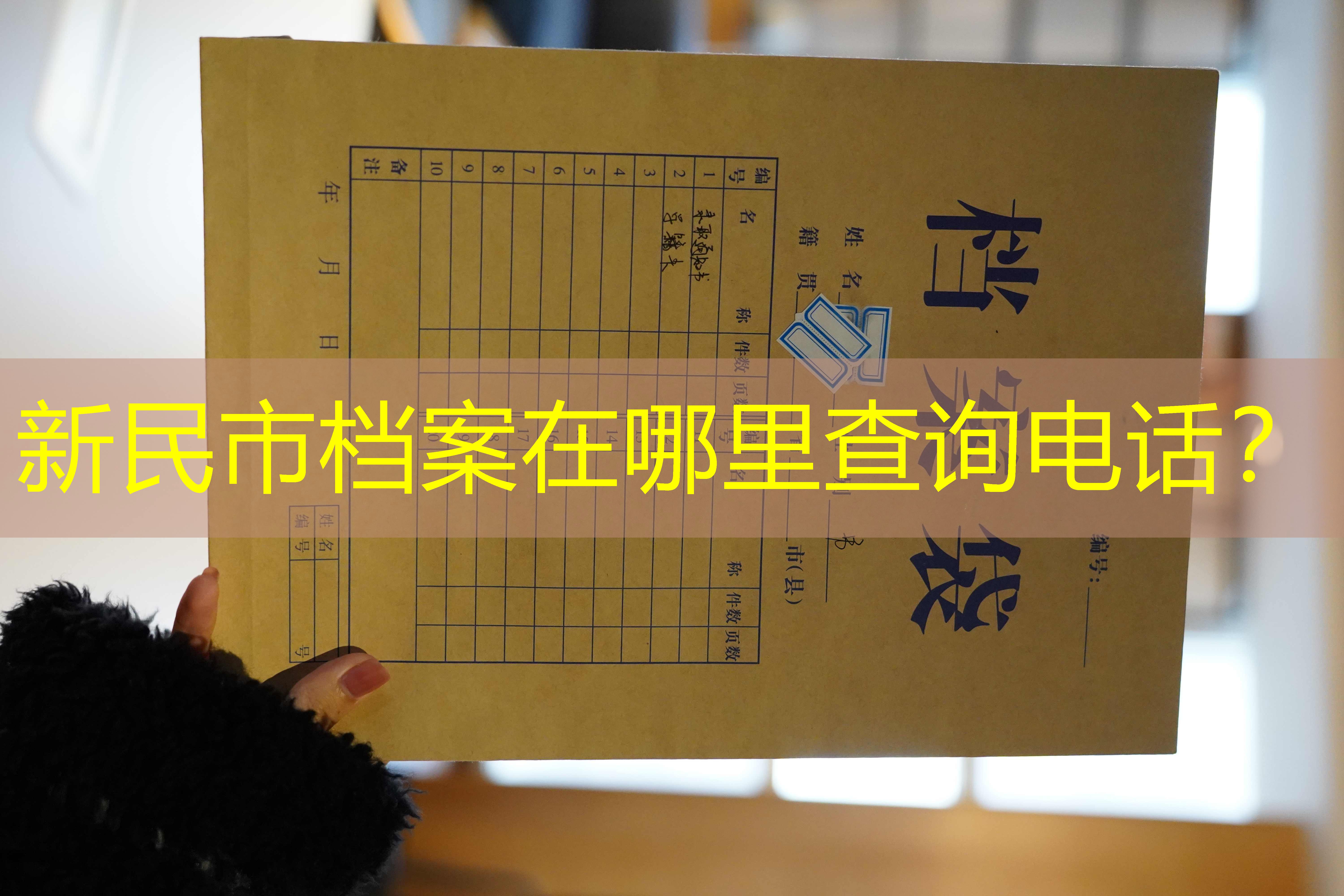 档案查询