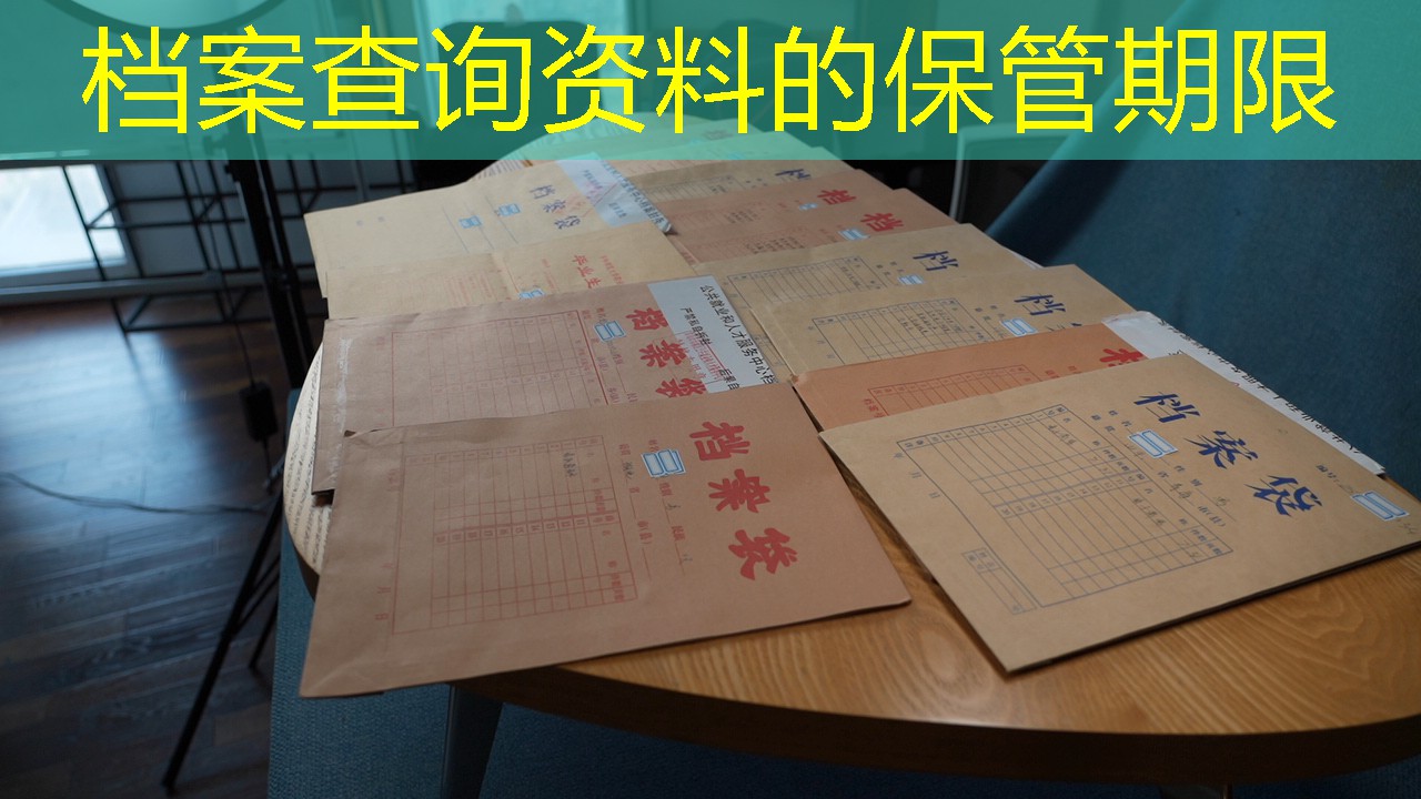 档案查询