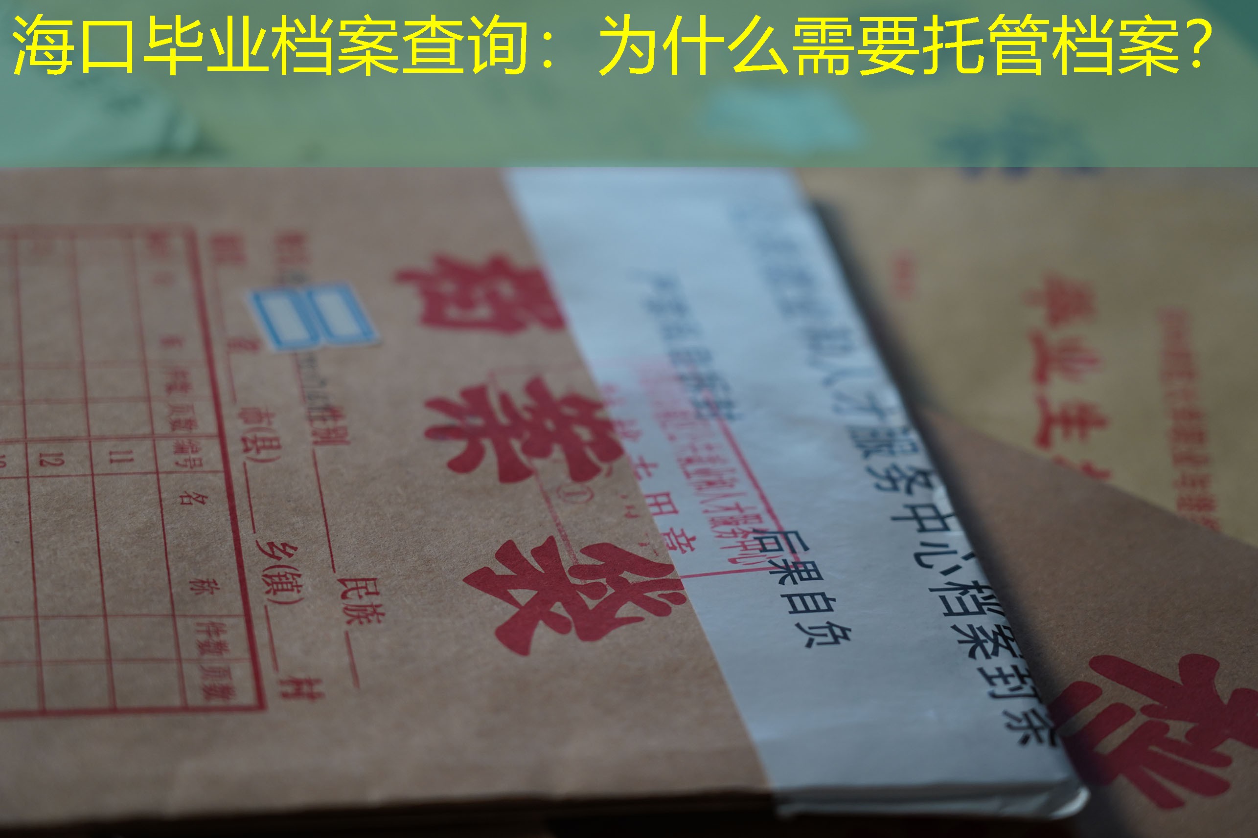 档案查询