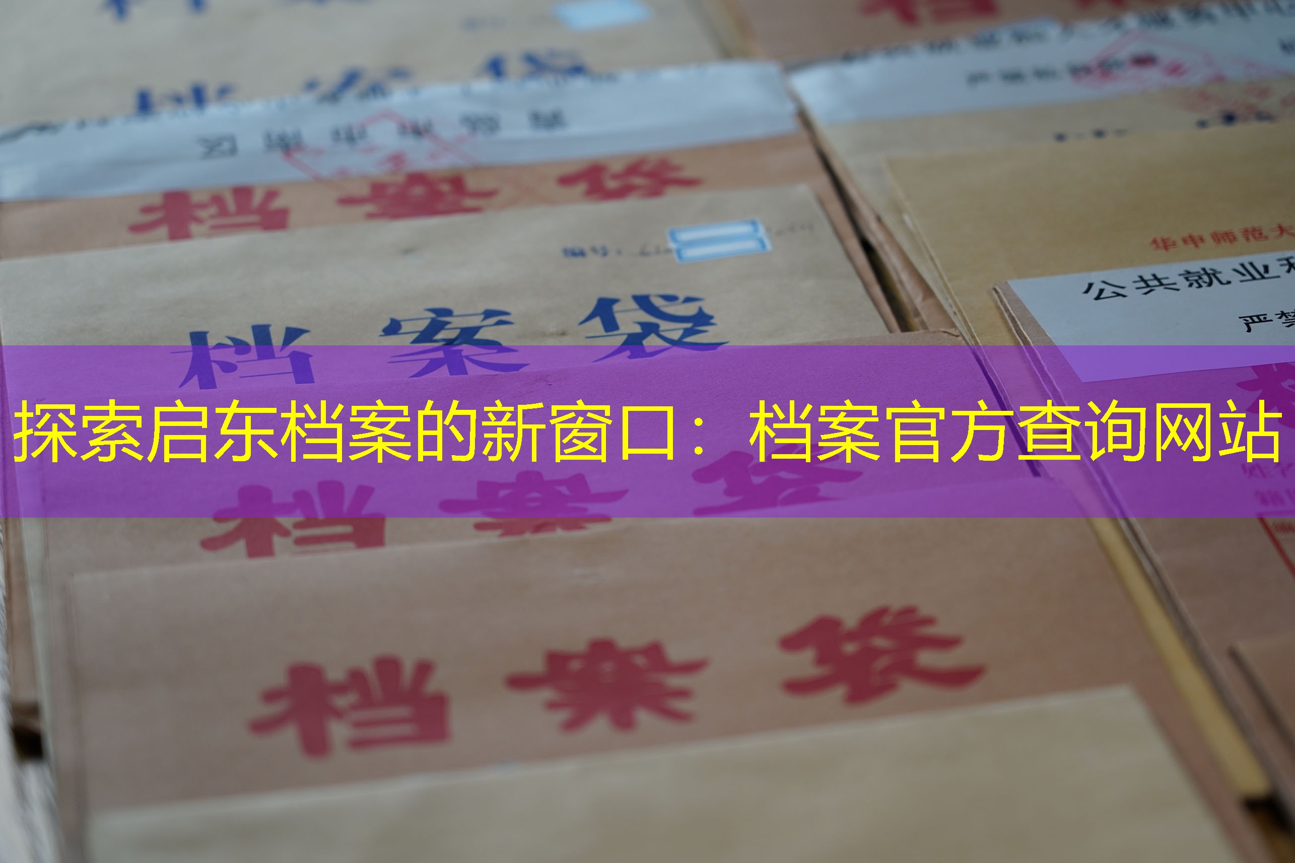 档案查询