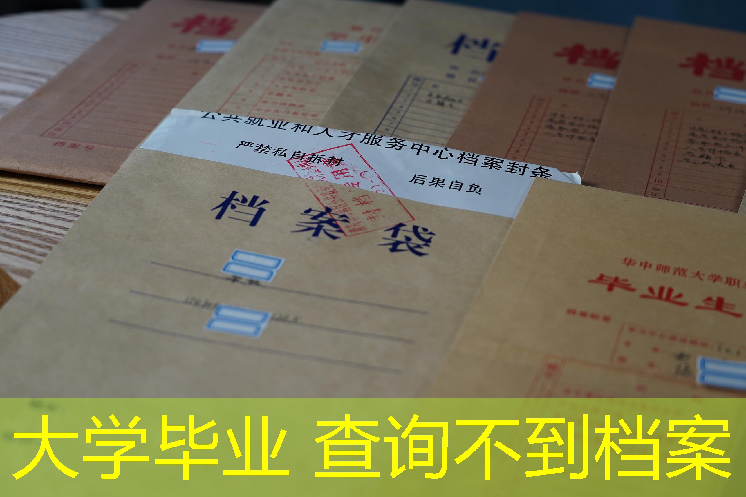 档案查询