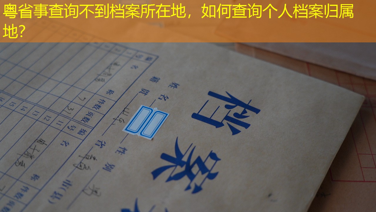 档案查询