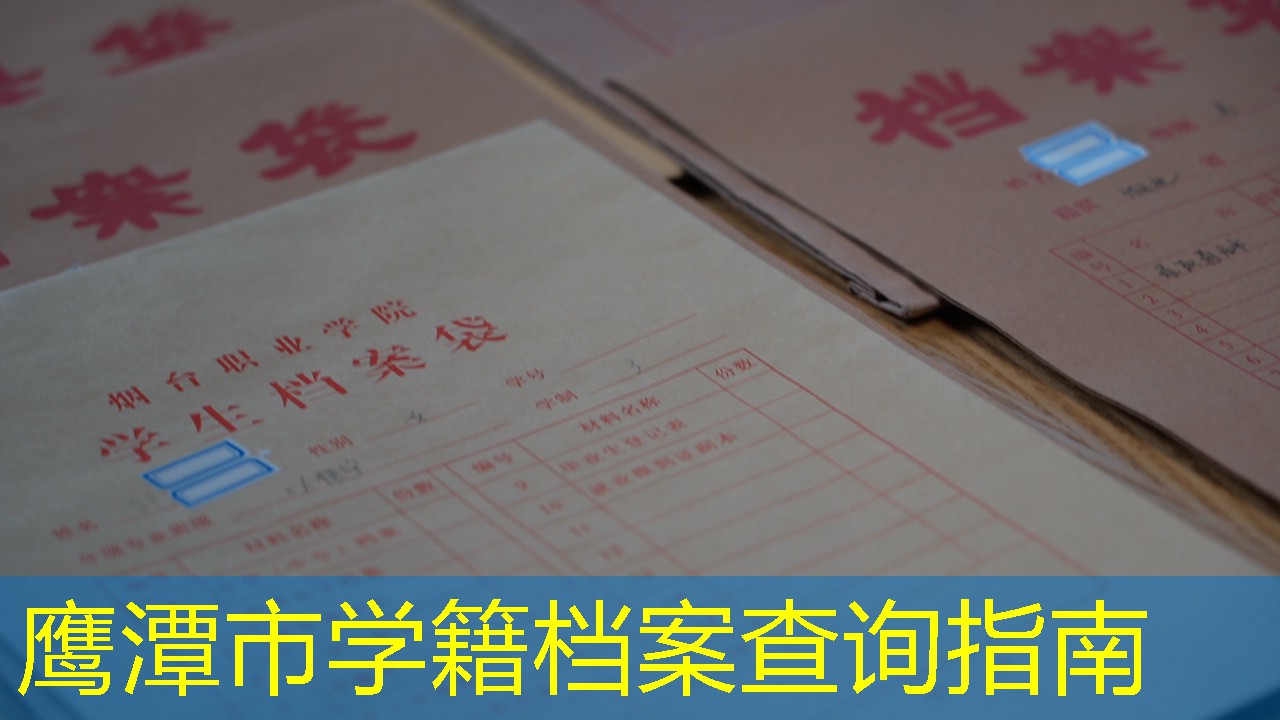 档案查询