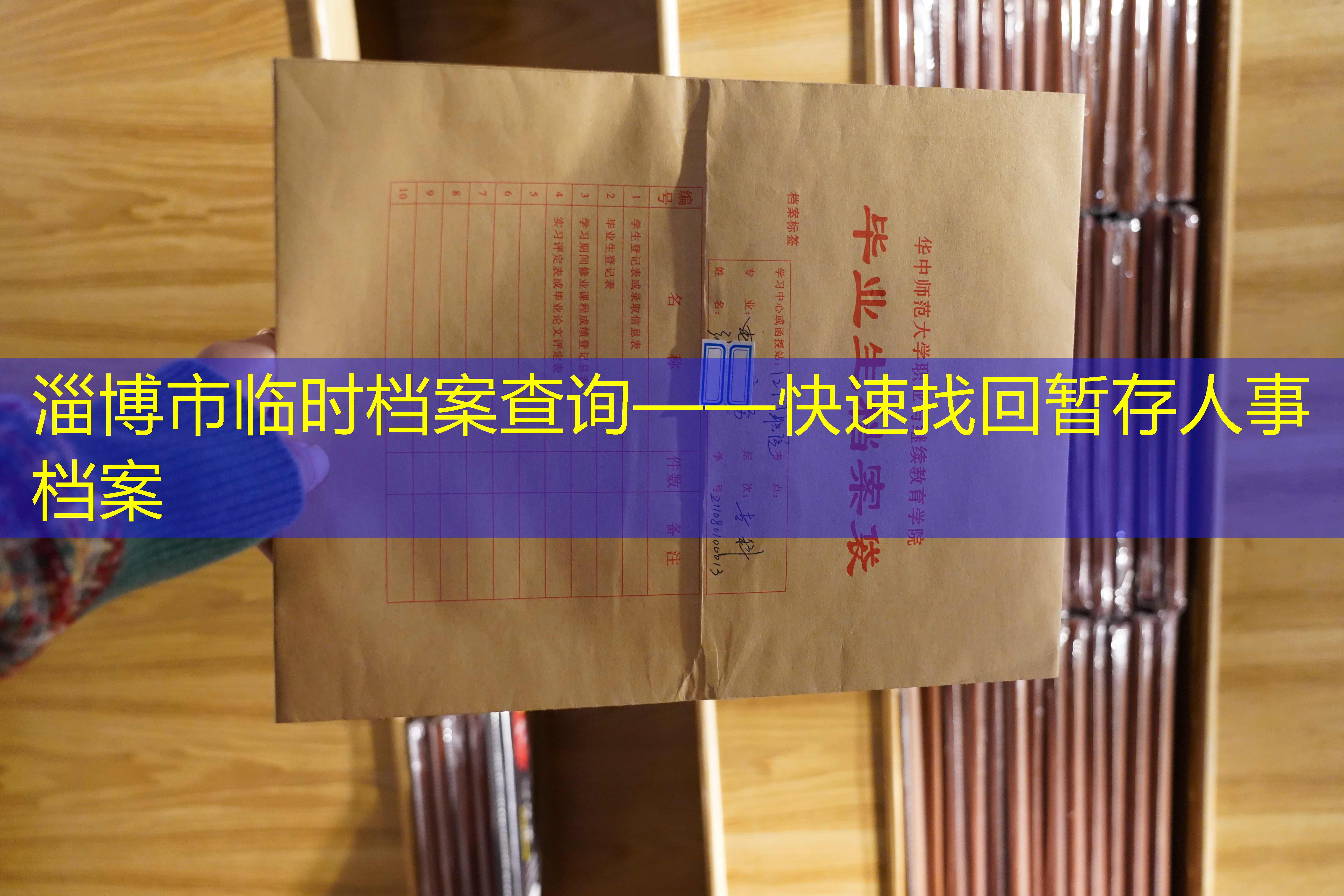 档案查询