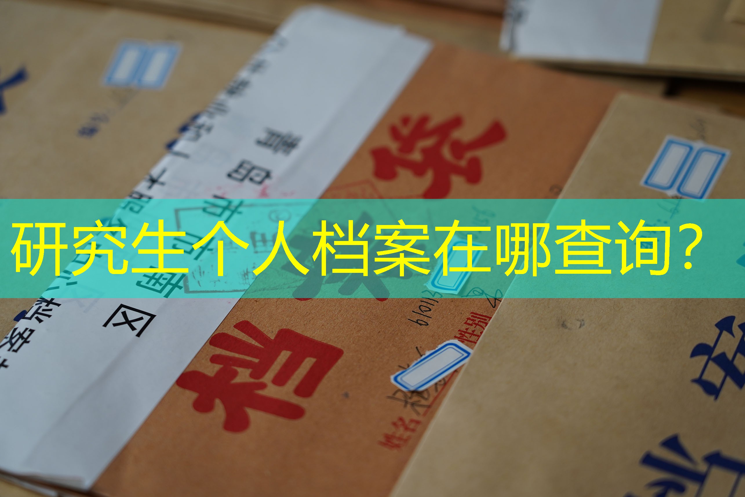 档案查询
