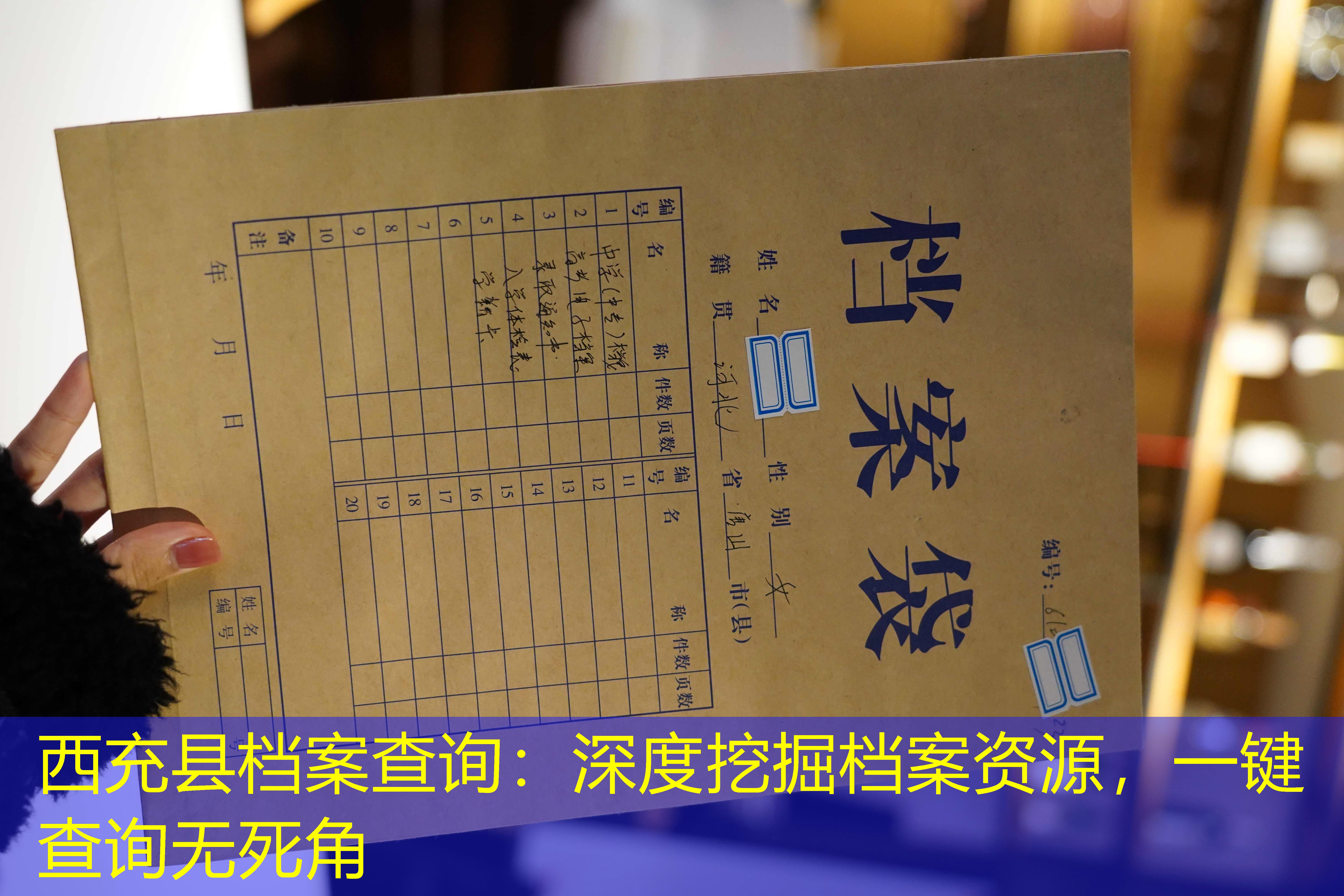 档案查询