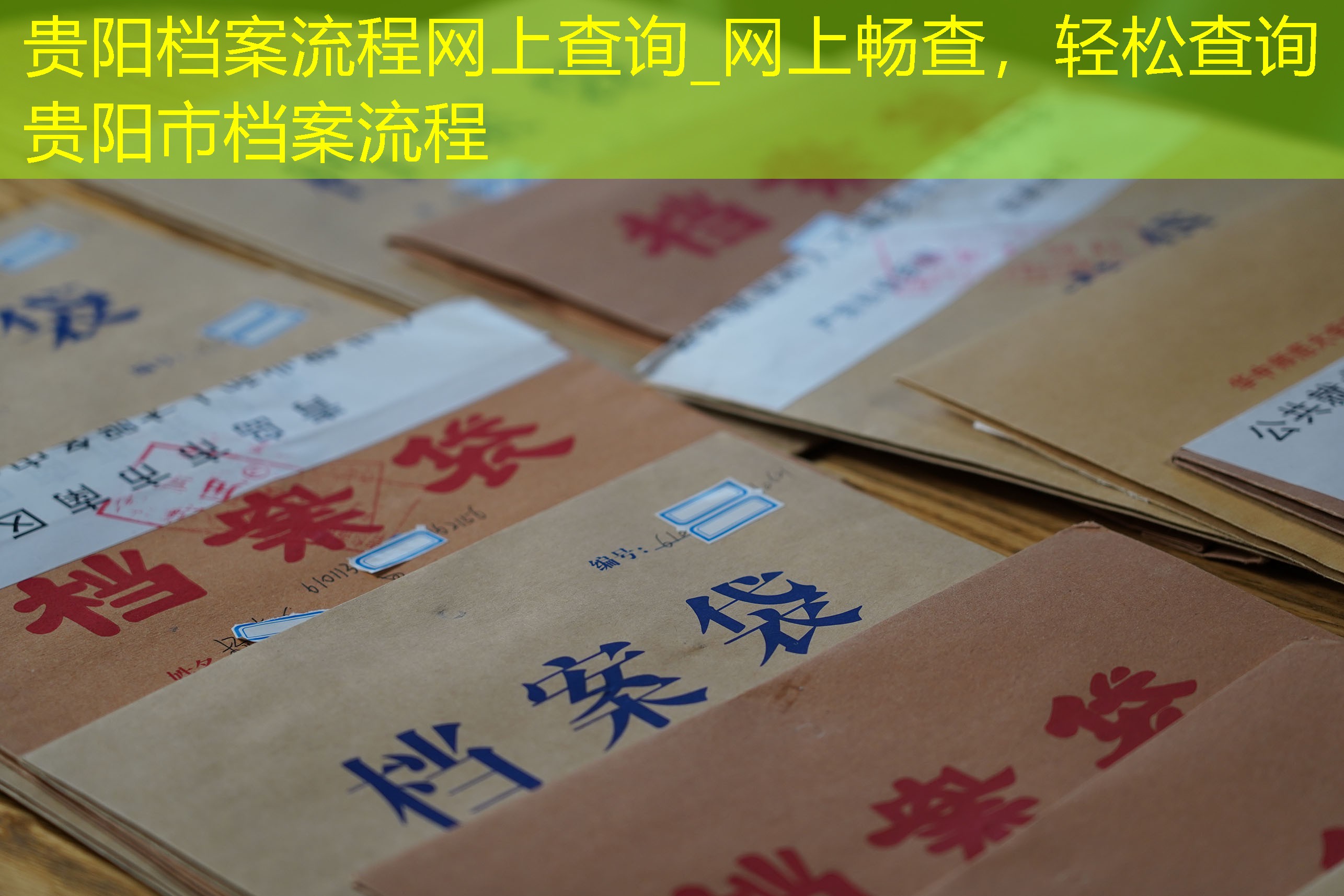 档案查询