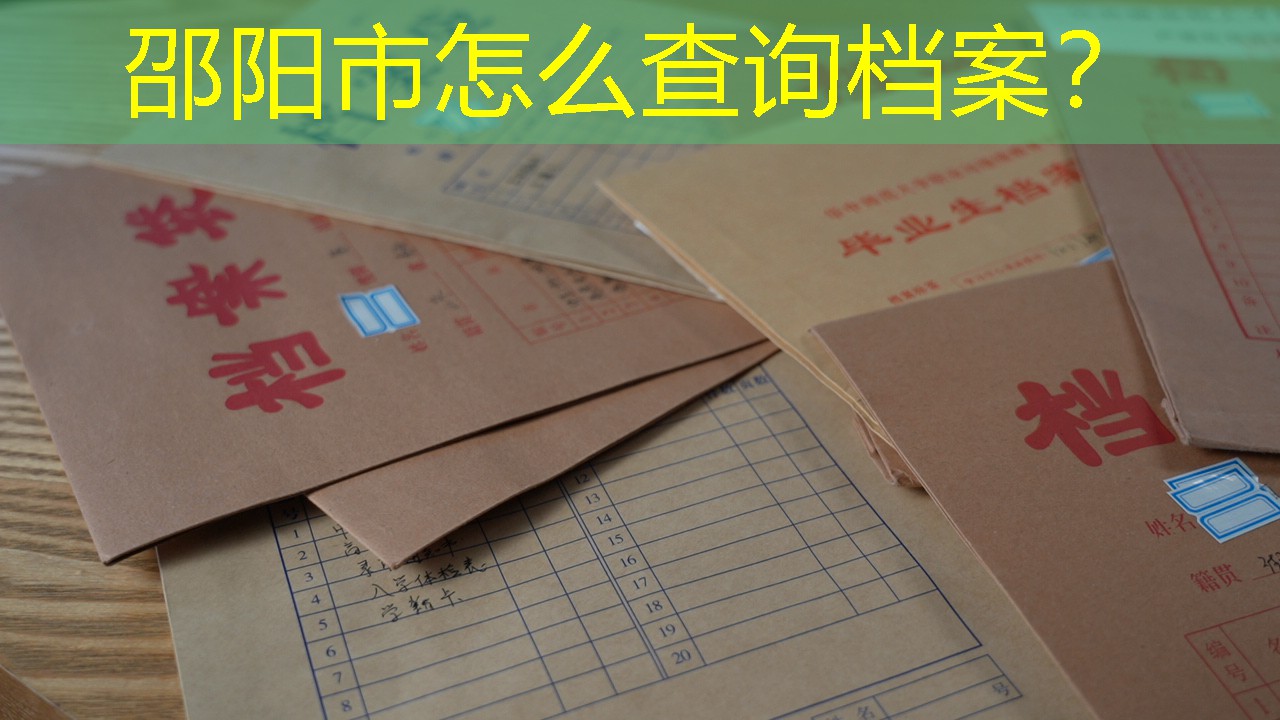 档案查询