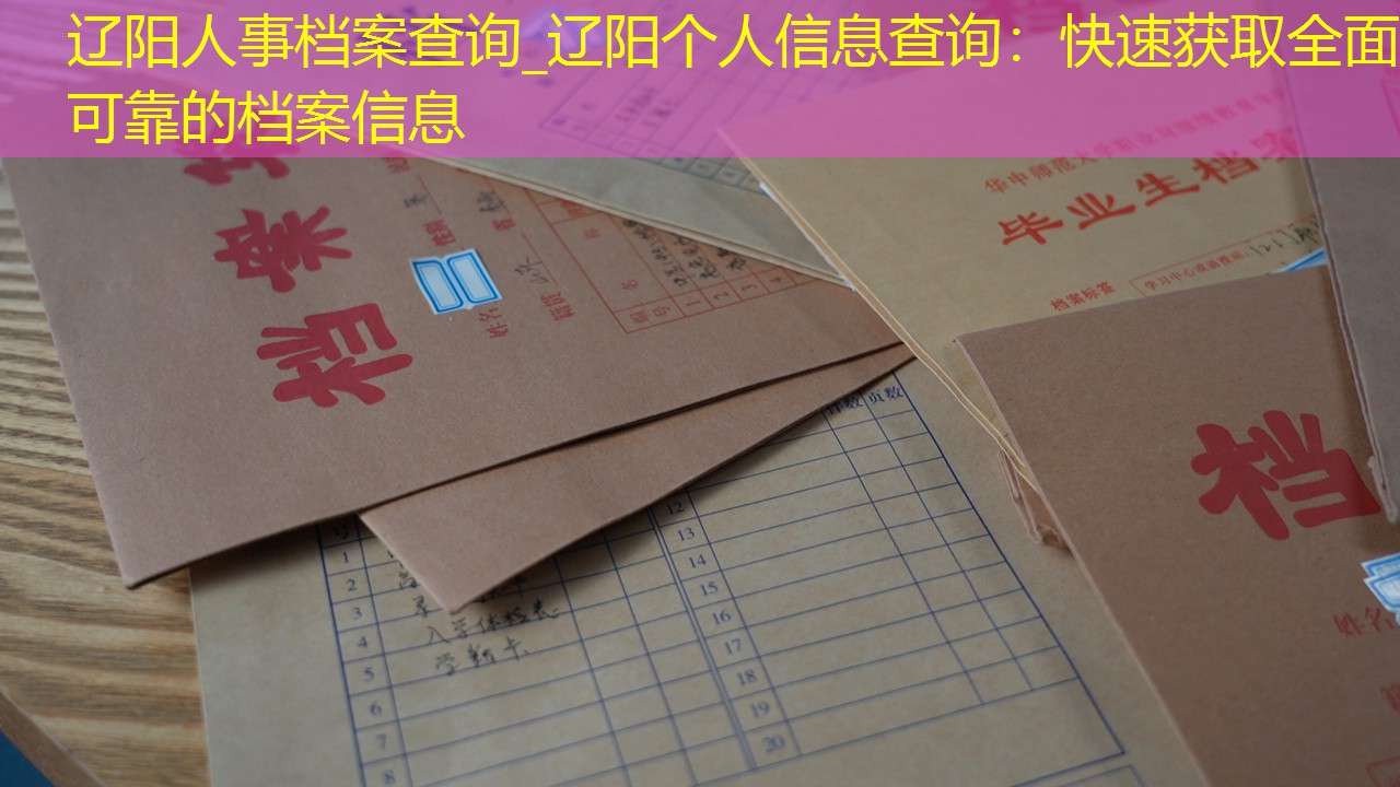 档案查询