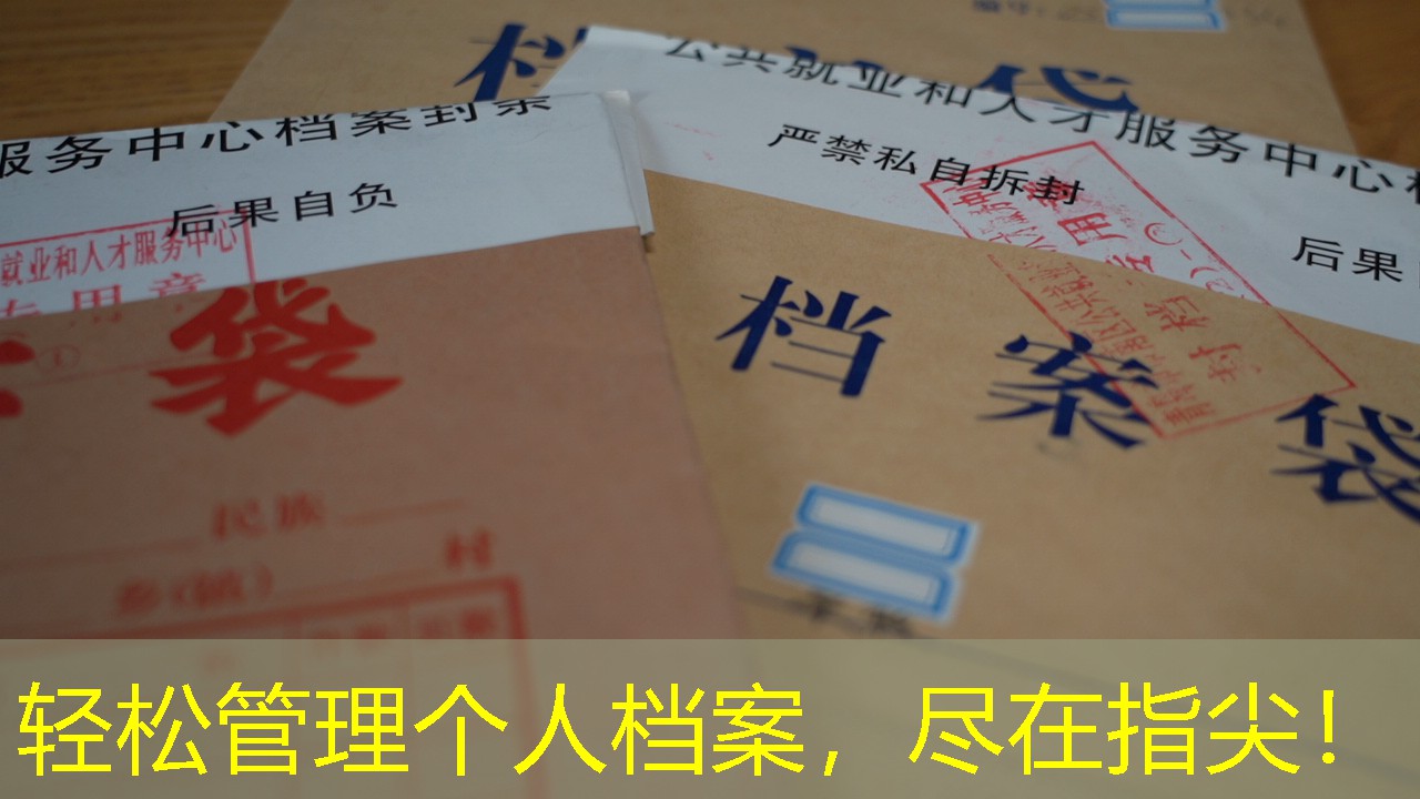 档案查询
