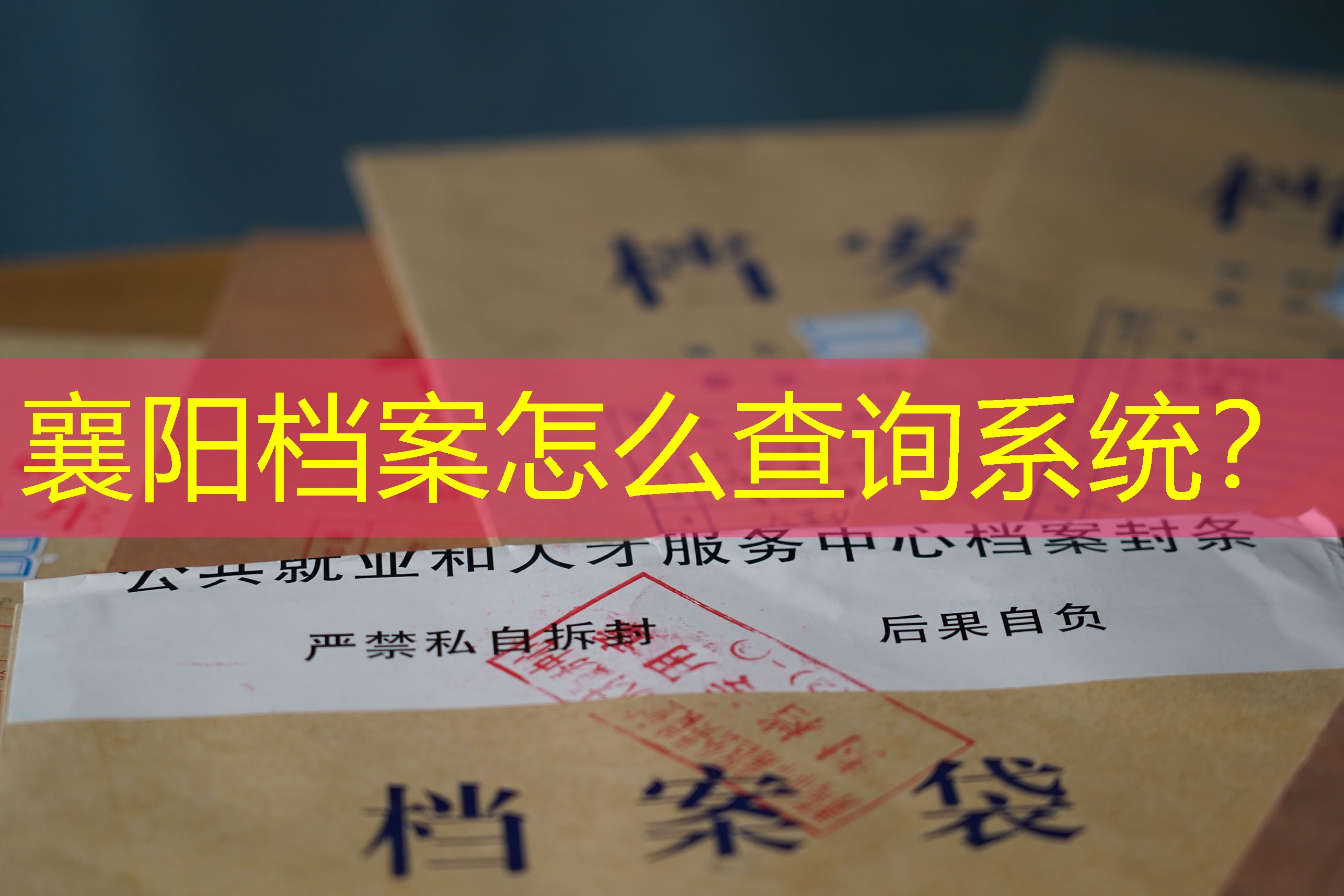 档案查询