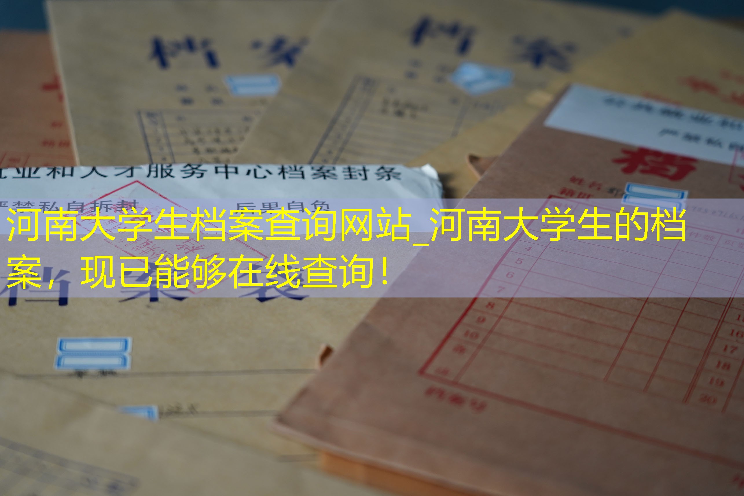 档案查询