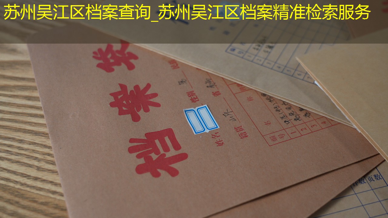 档案查询