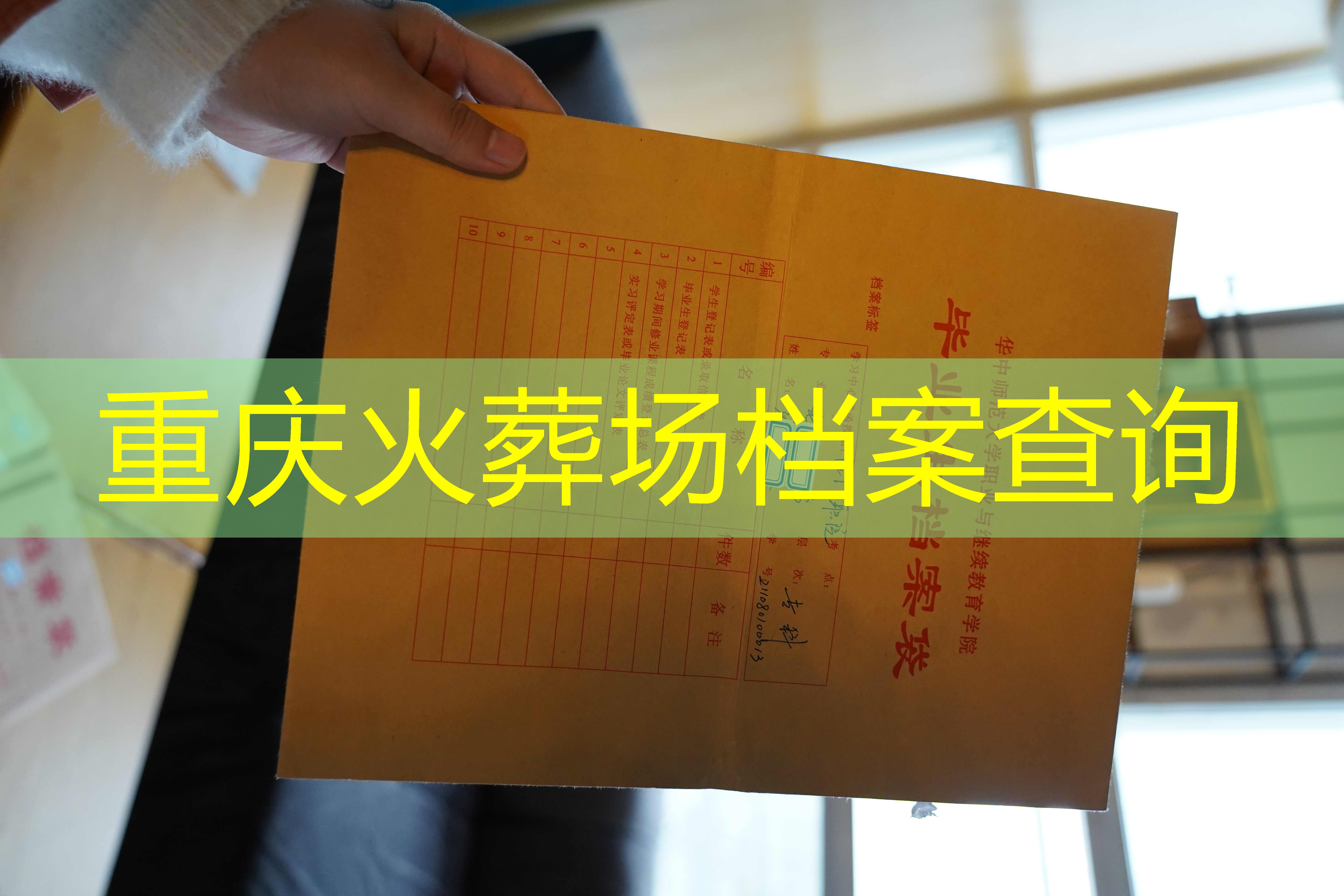 档案查询
