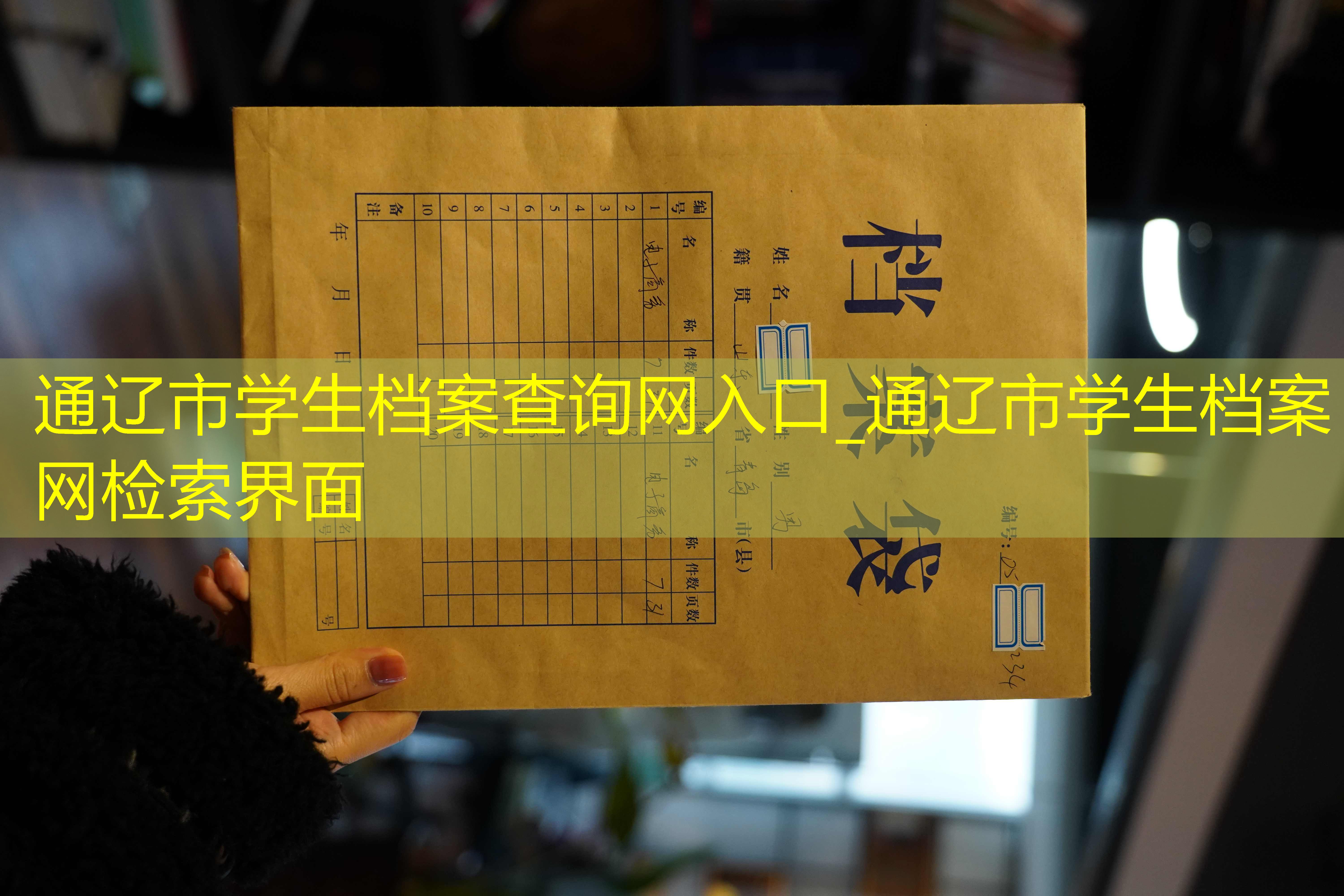 档案查询