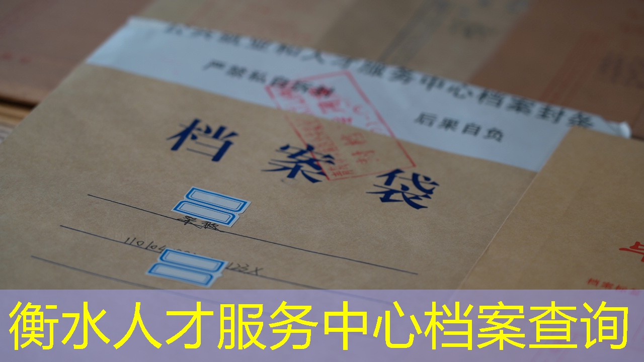 档案查询