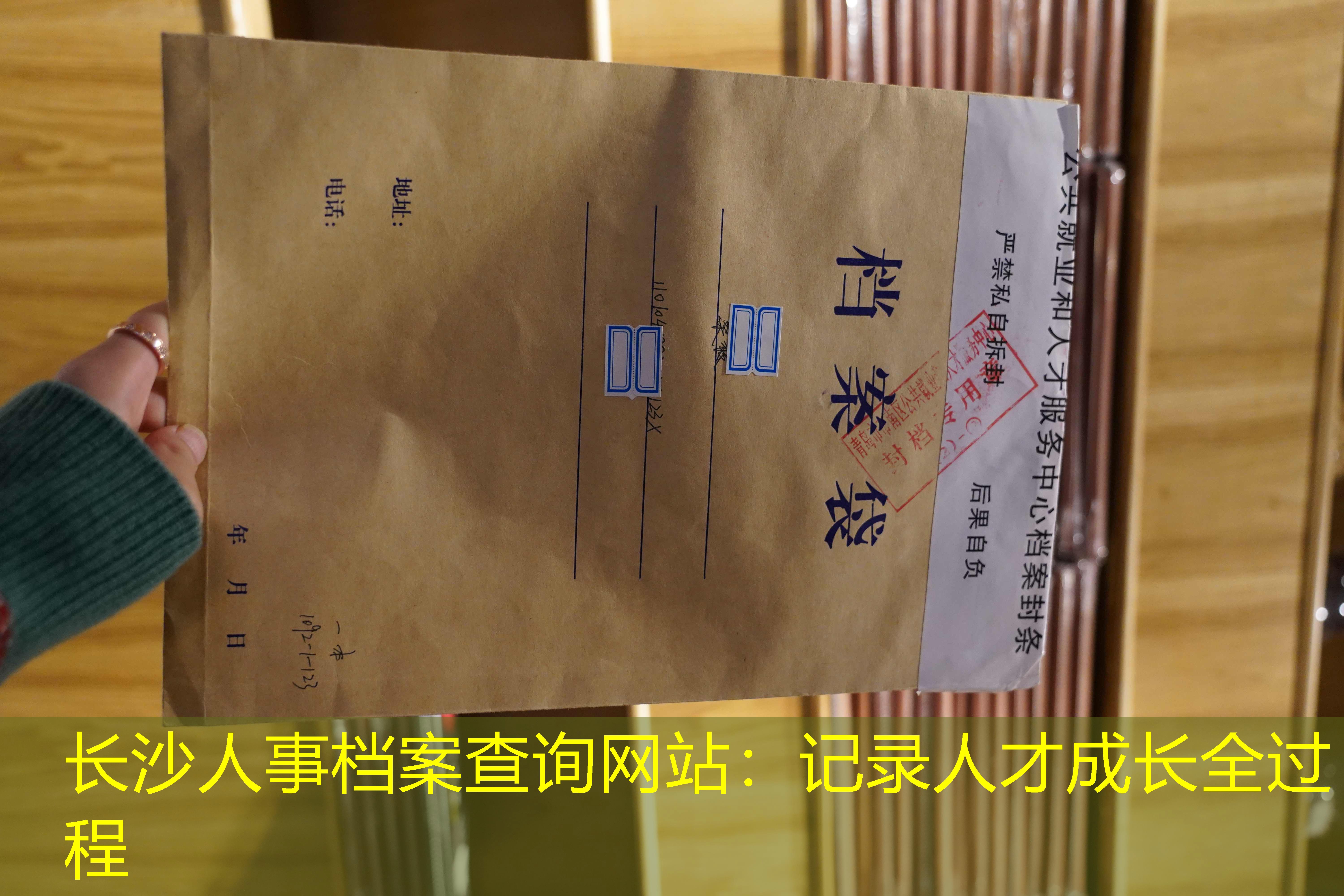 档案查询