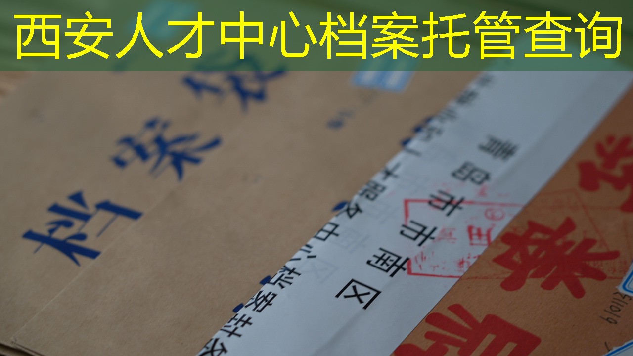 档案查询