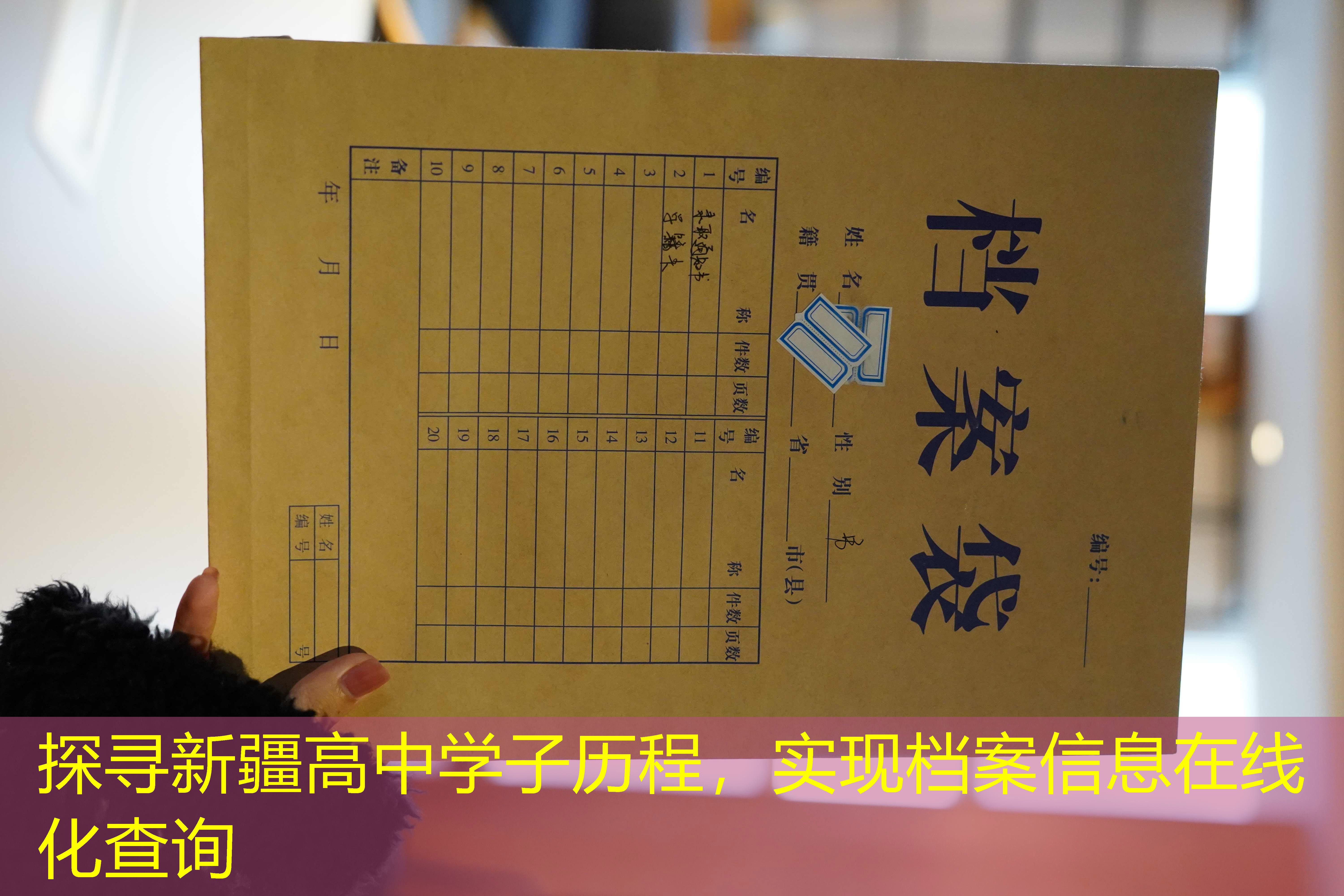 档案查询