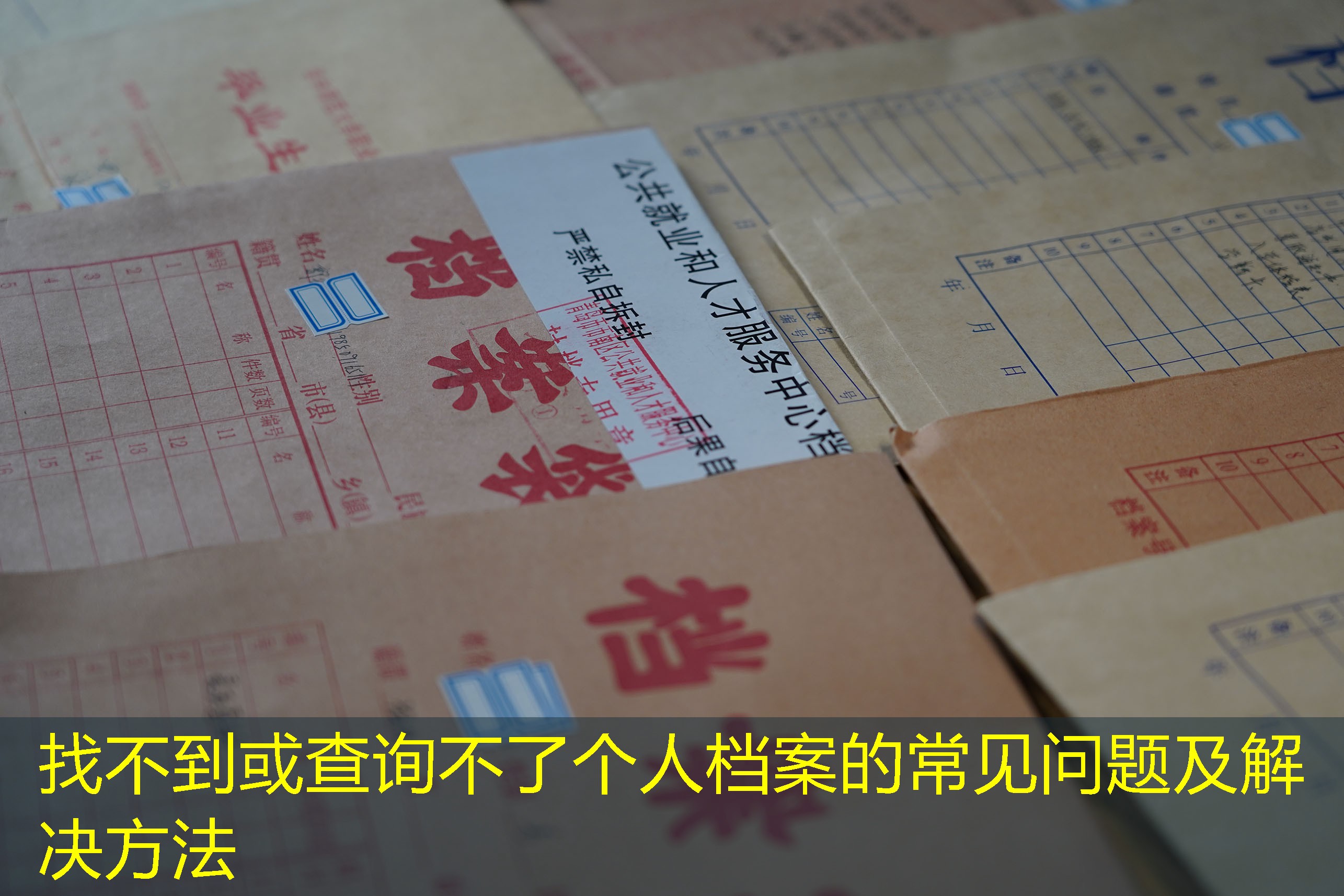 档案查询