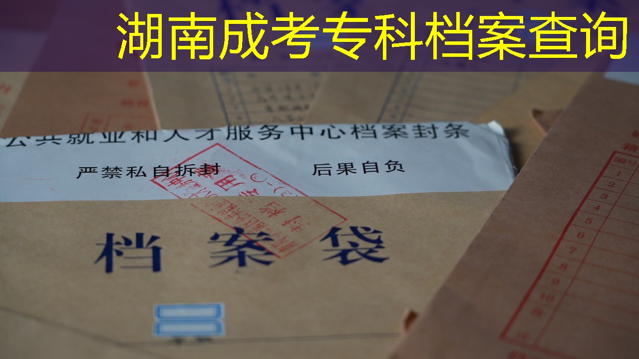 档案查询