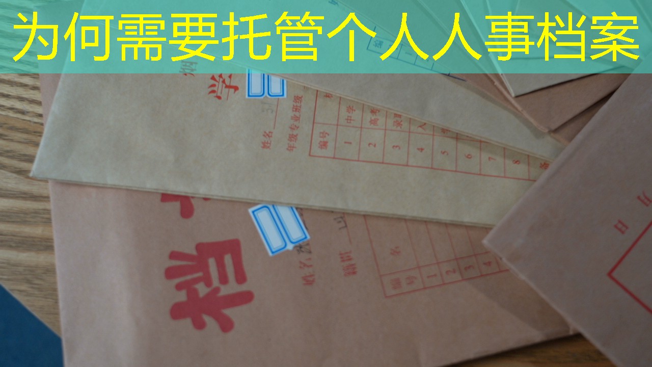 档案查询